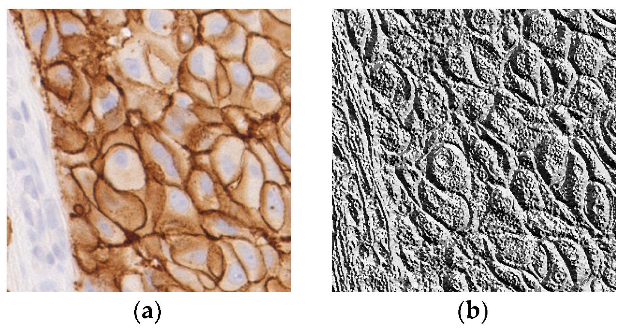 Jimaging 04 00035 g006