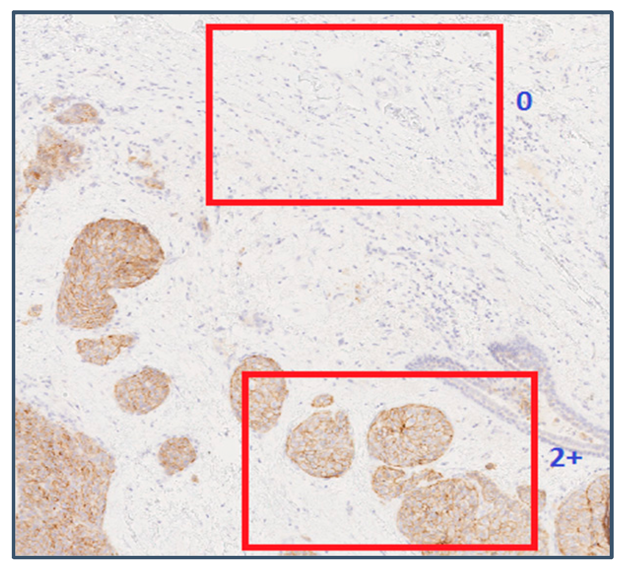 Jimaging 04 00035 g009