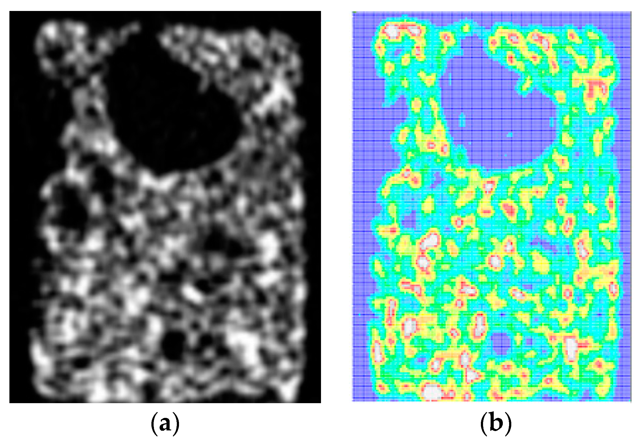 Jimaging 04 00049 g005 Jimaging 04 00049 g005