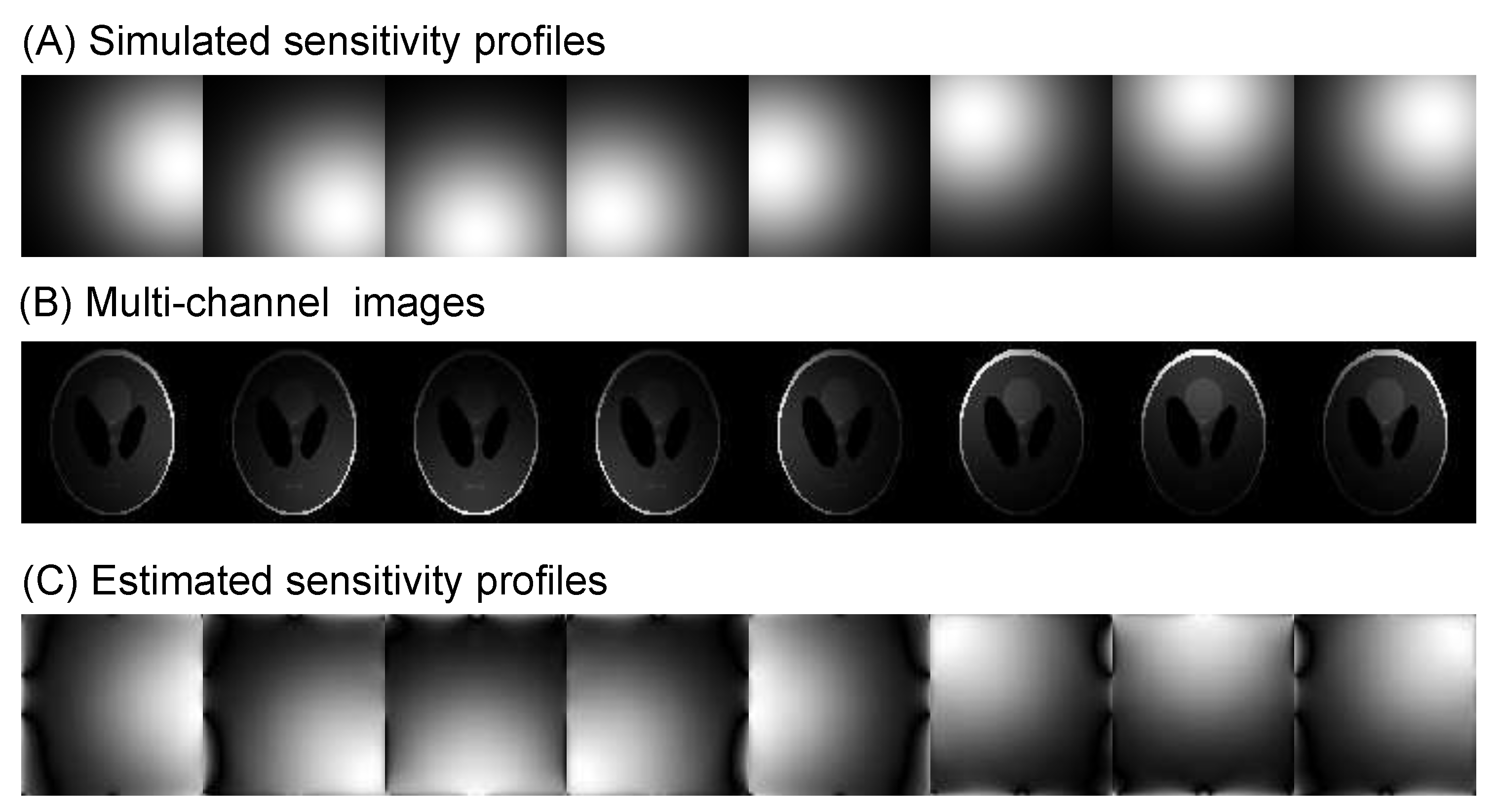 Jimaging 04 00051 g006
