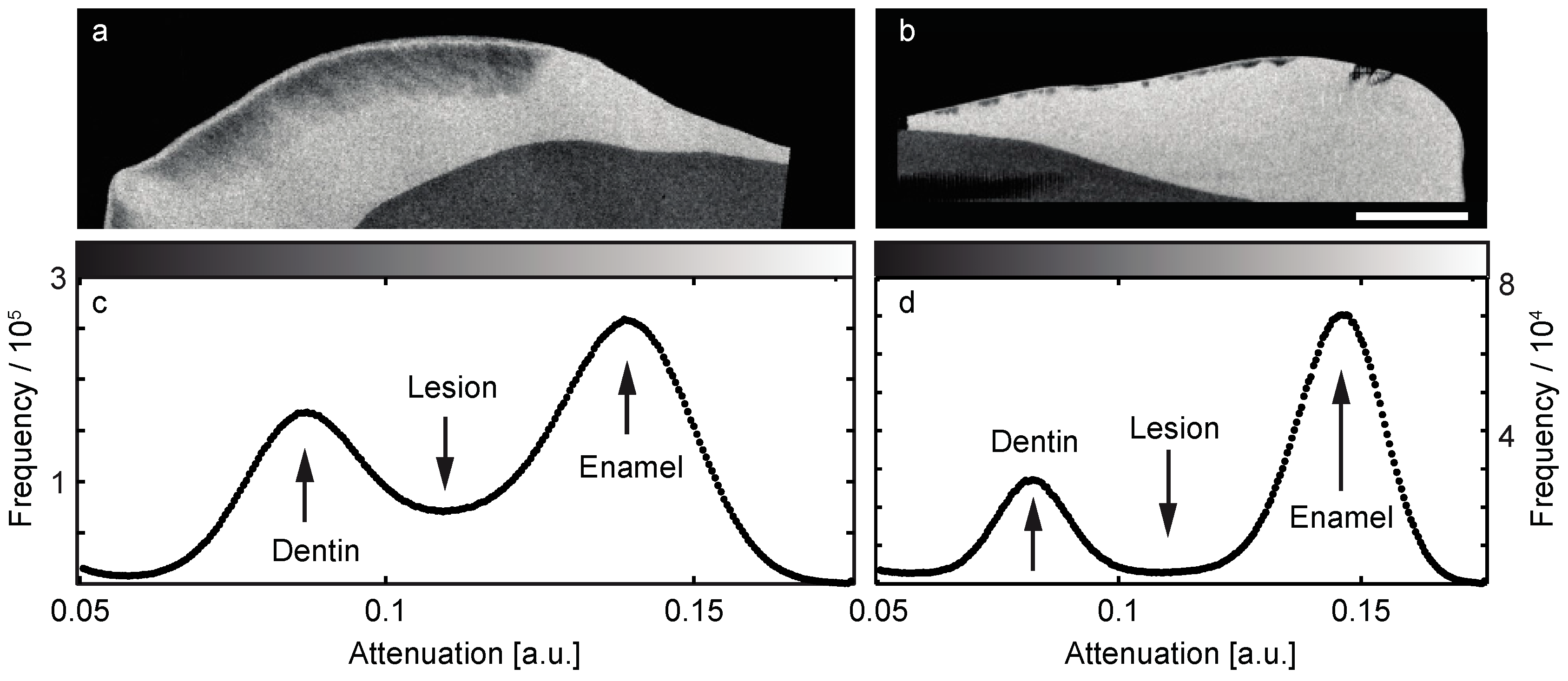 Jimaging 04 00081 g002