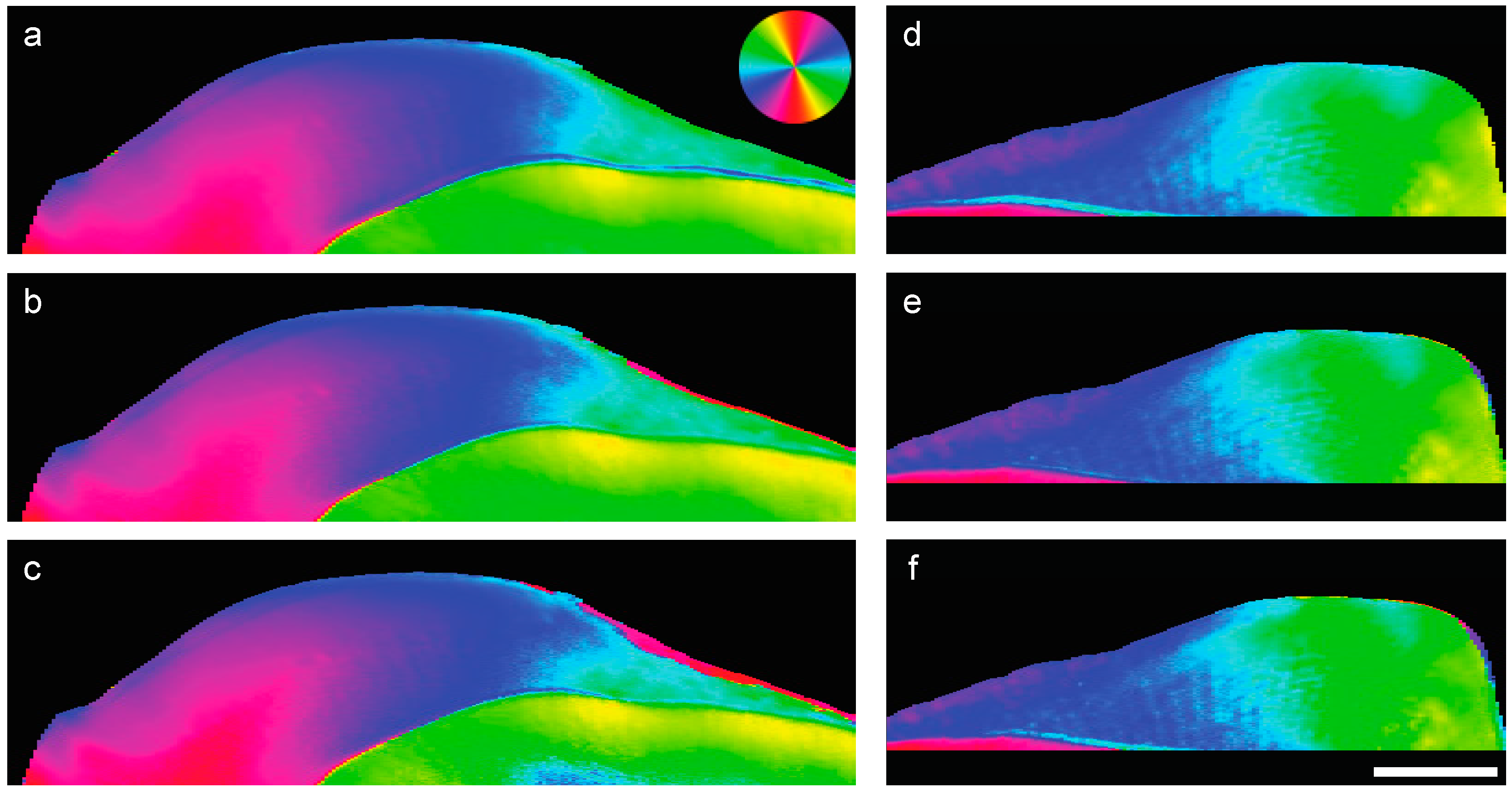 Jimaging 04 00081 g004