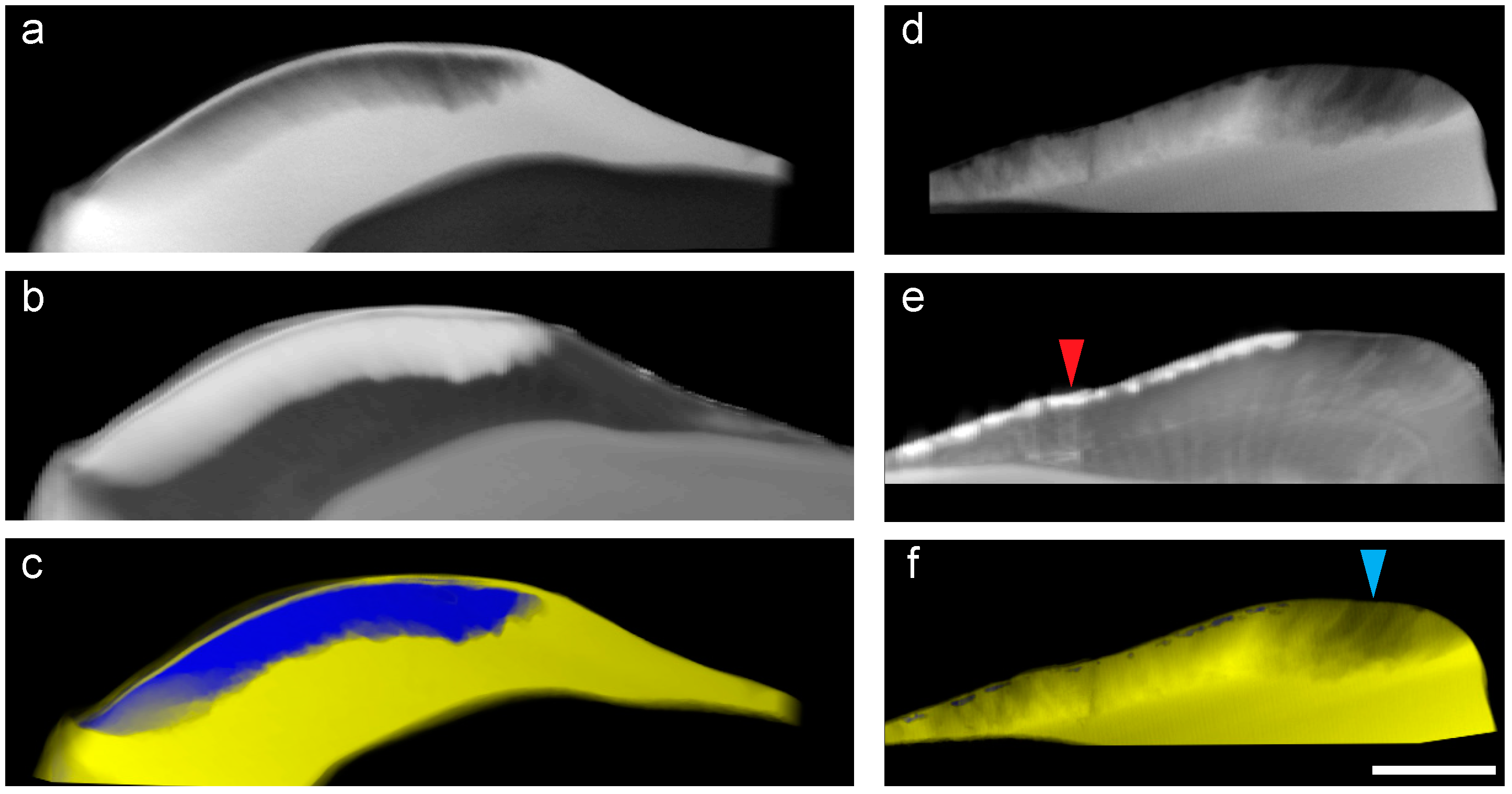 Jimaging 04 00081 g006
