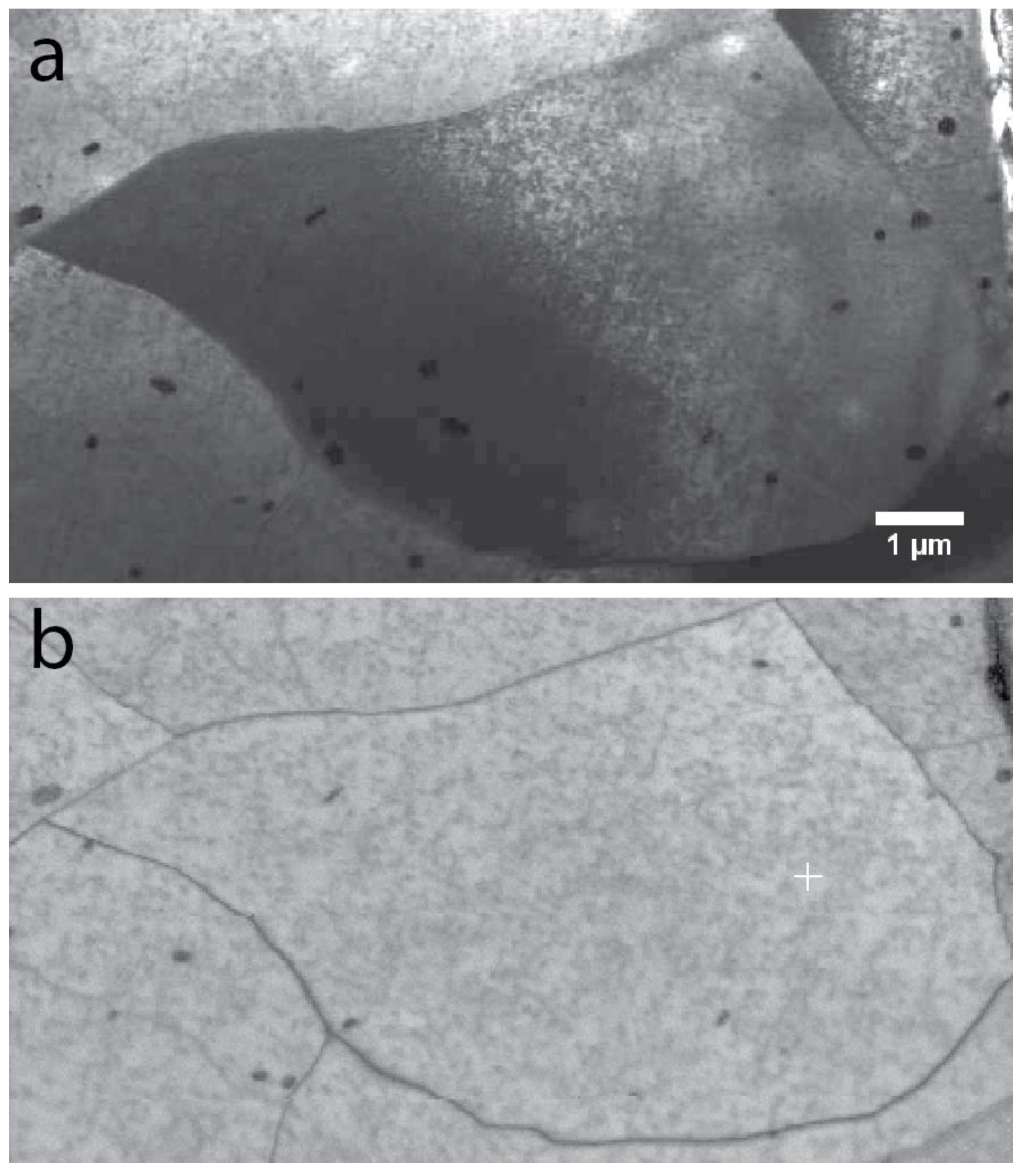 Jimaging 04 00088 g010