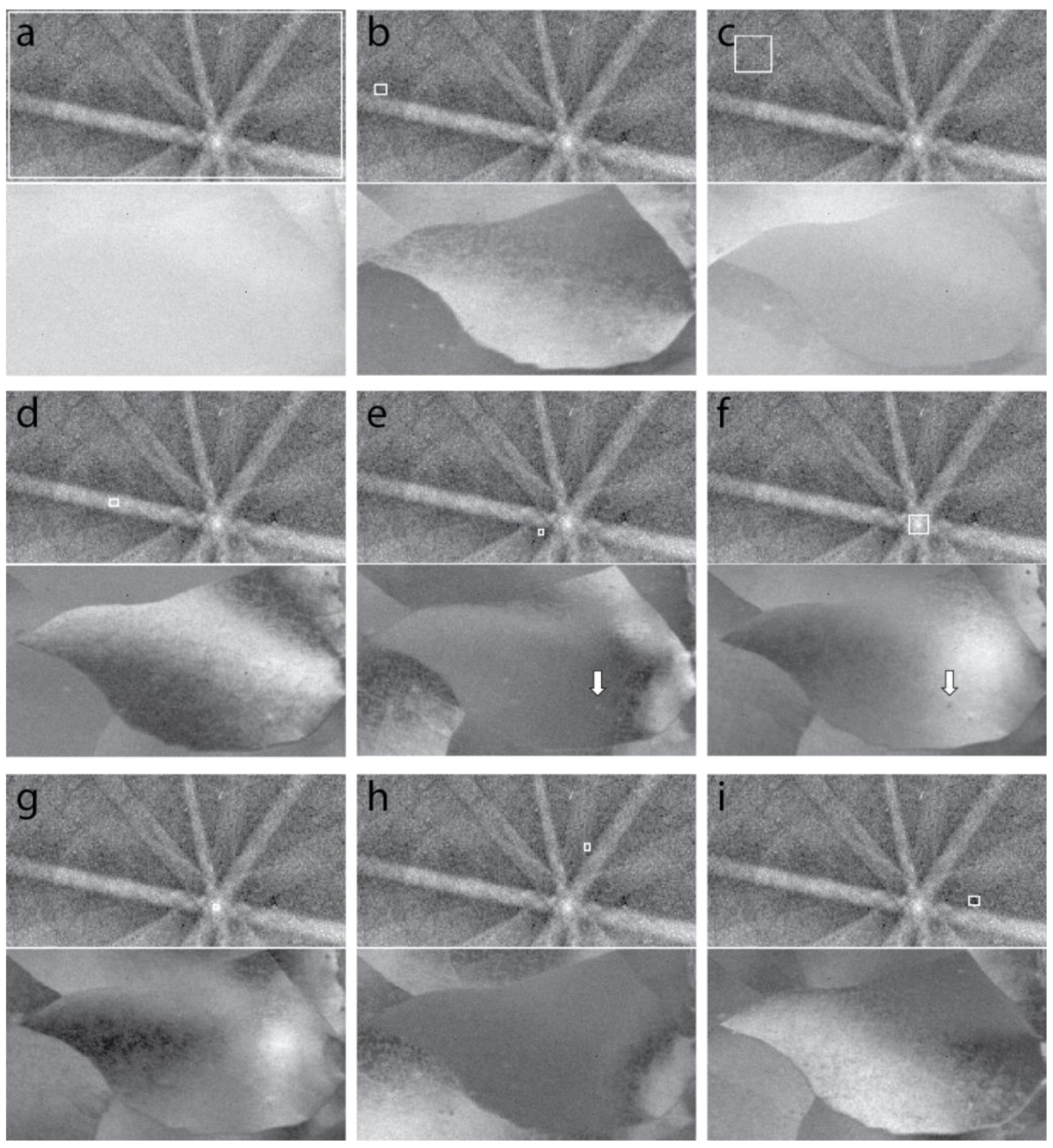 Jimaging 04 00088 g011