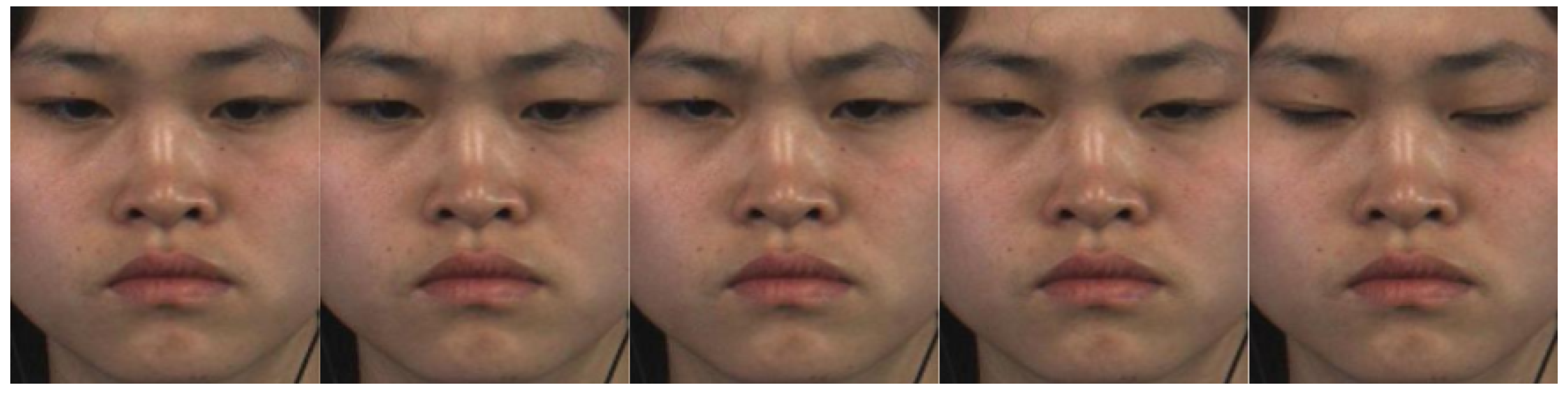 Jimaging 04 00119 g001