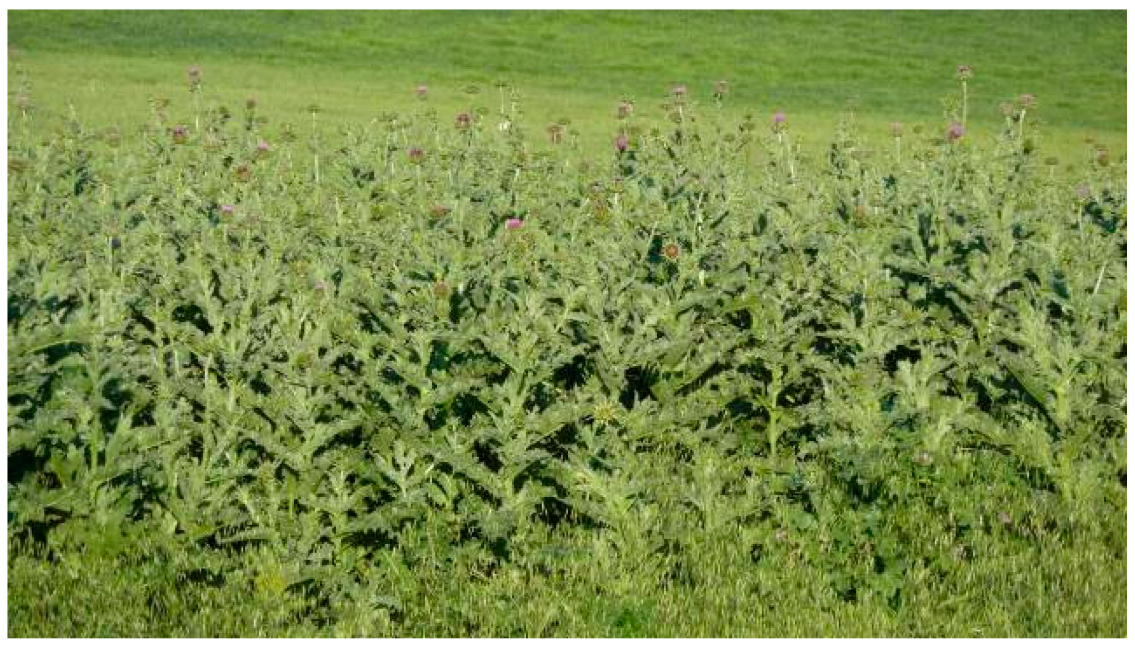 Jimaging 04 00132 g002