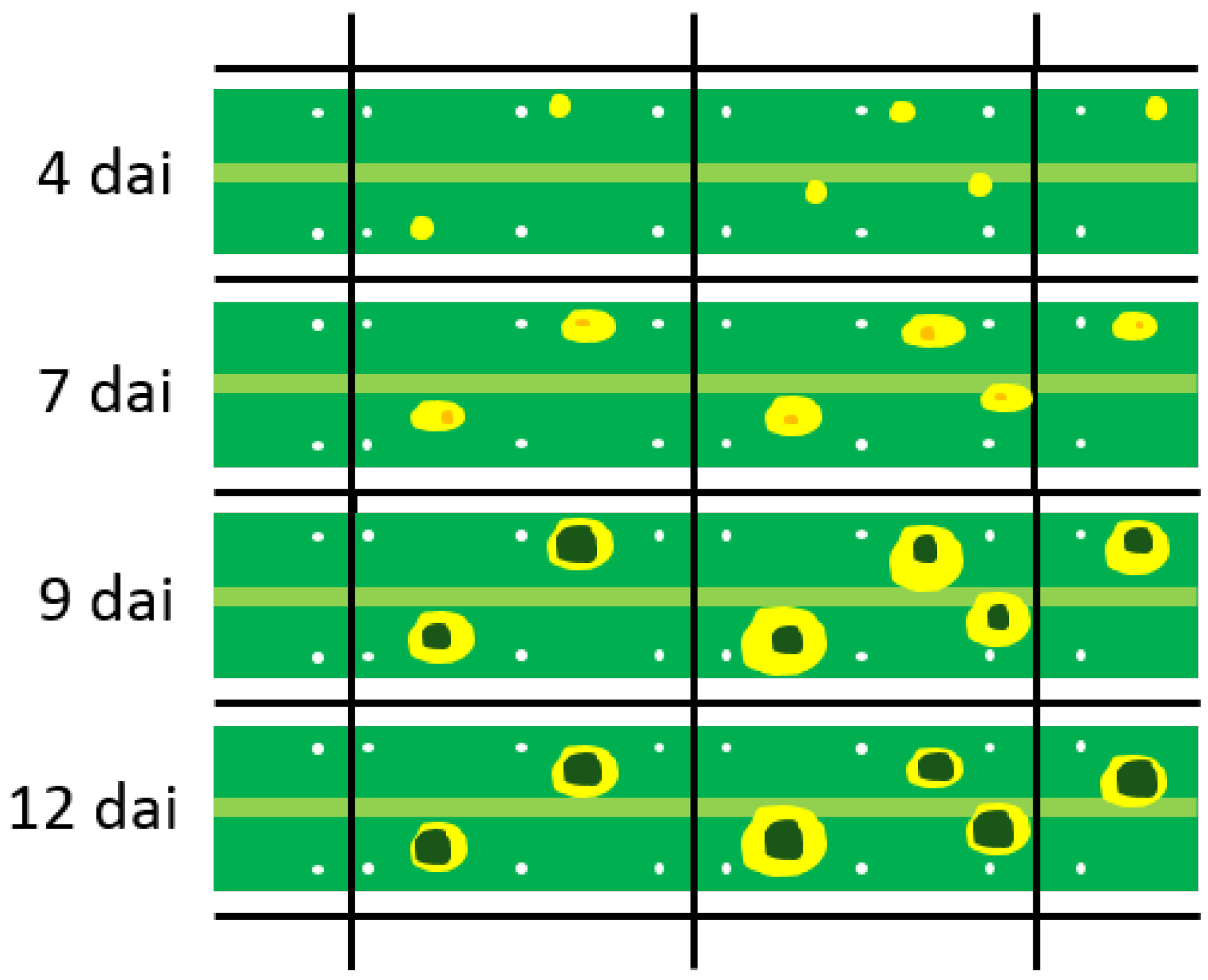 Jimaging 04 00143 g002