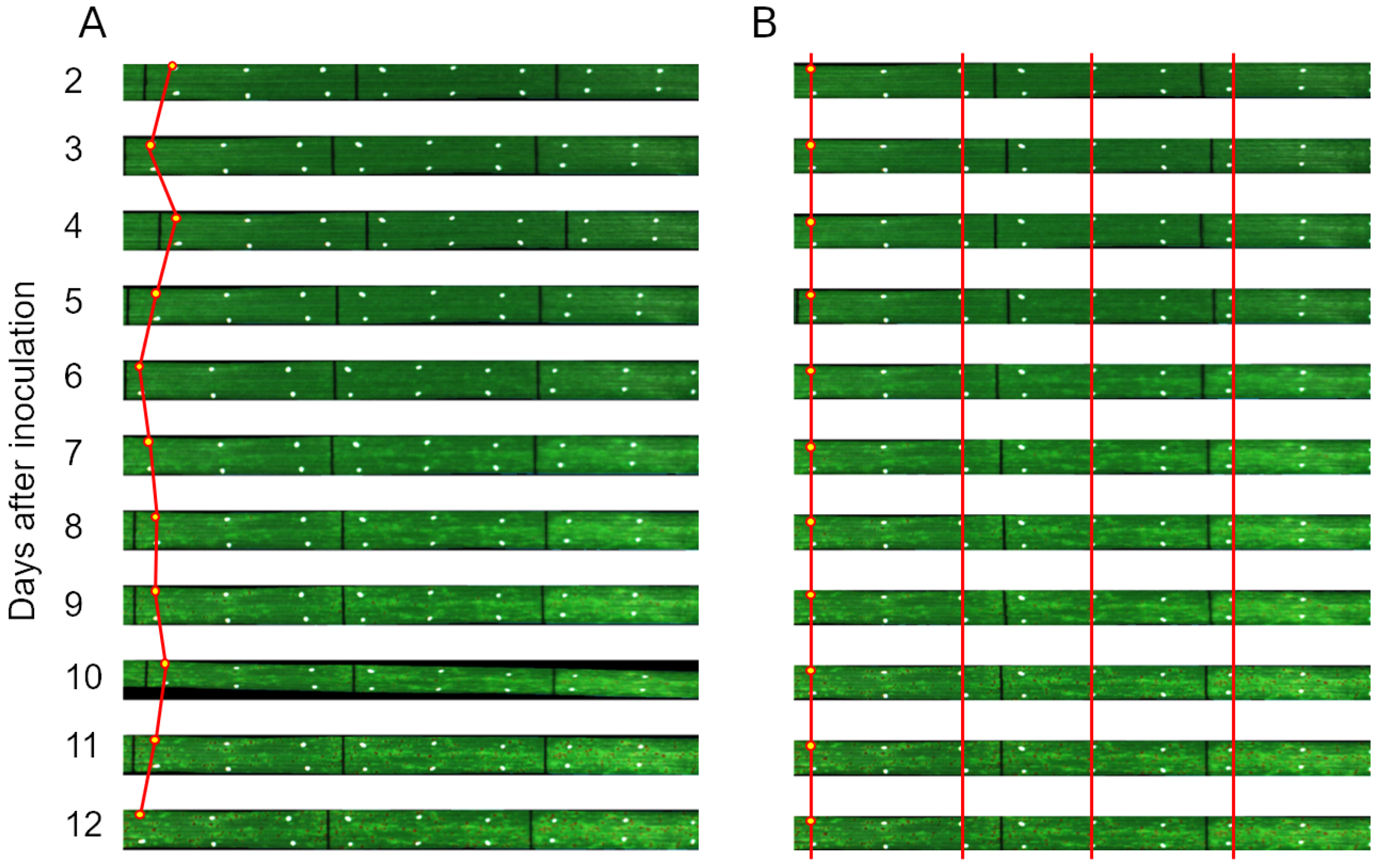Jimaging 04 00143 g004