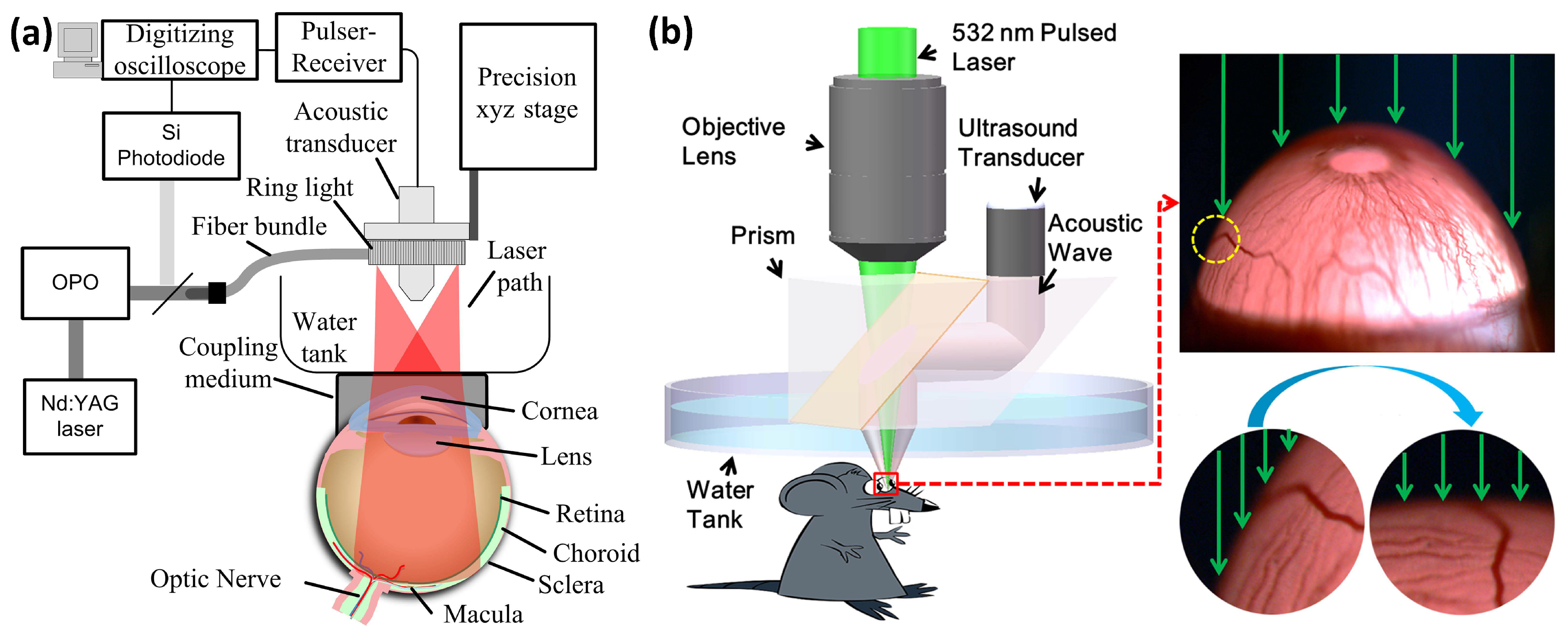 Jimaging 04 00149 g003 Jimaging 04 00149 g003