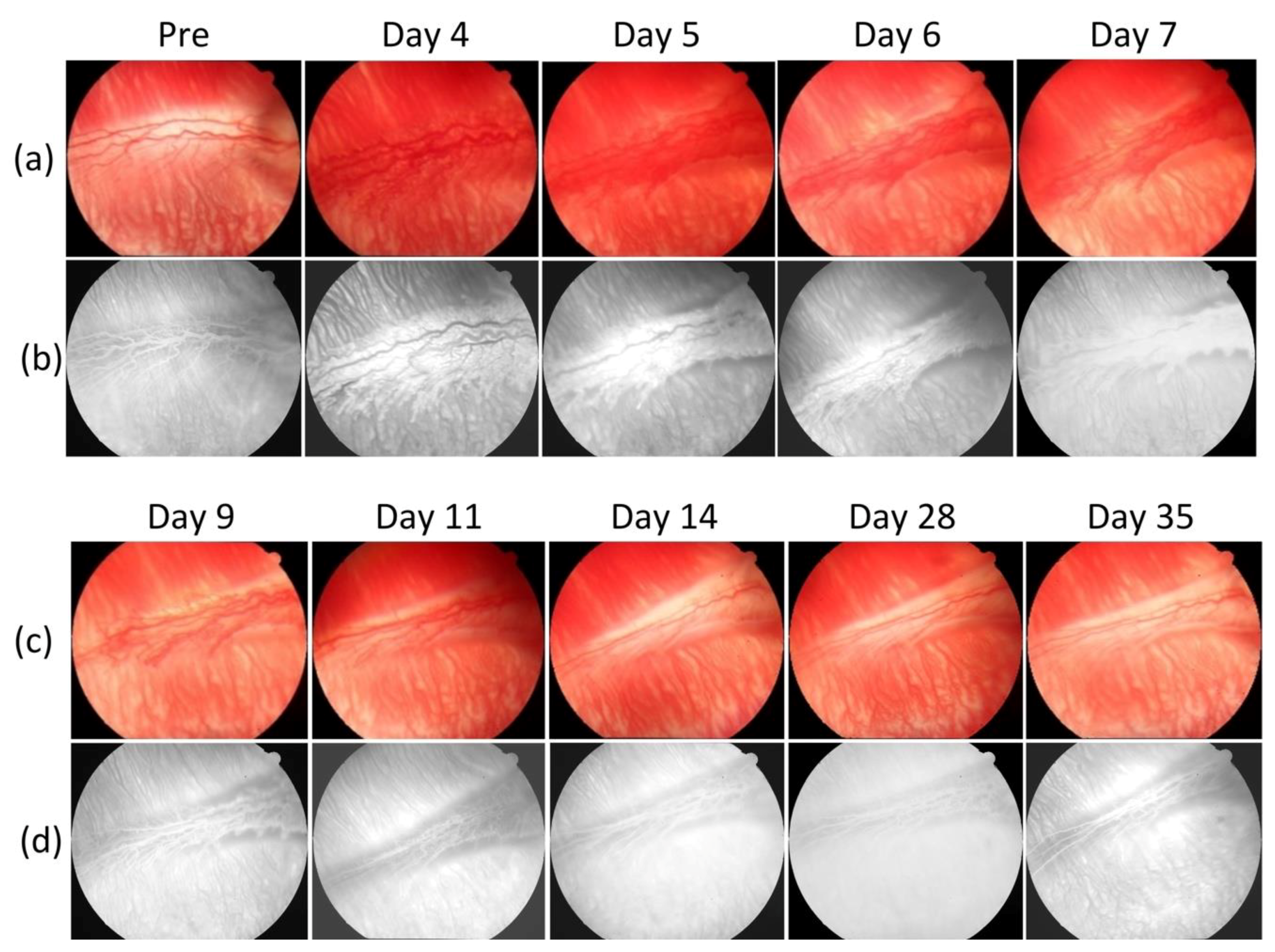 Jimaging 04 00150 g002
