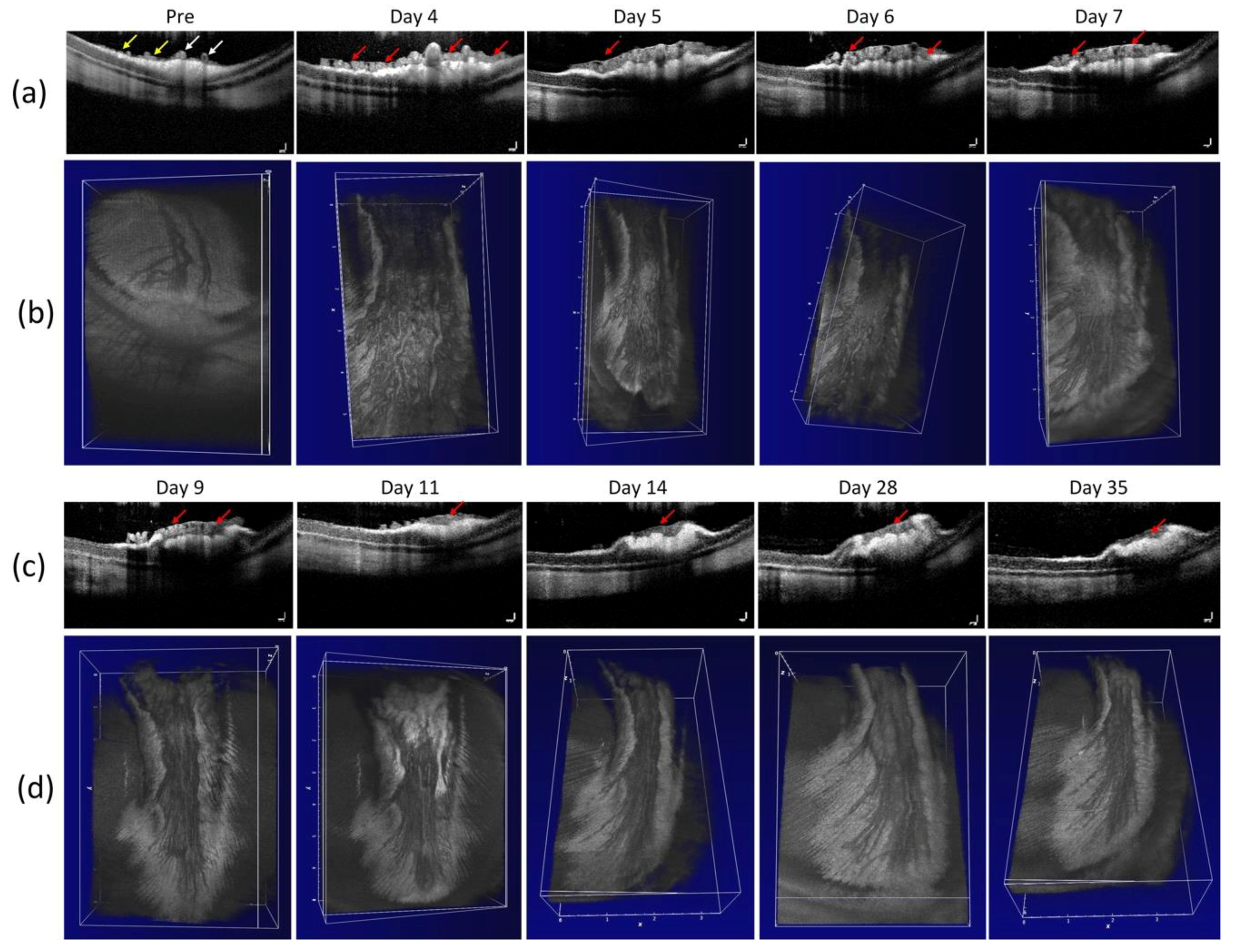 Jimaging 04 00150 g003