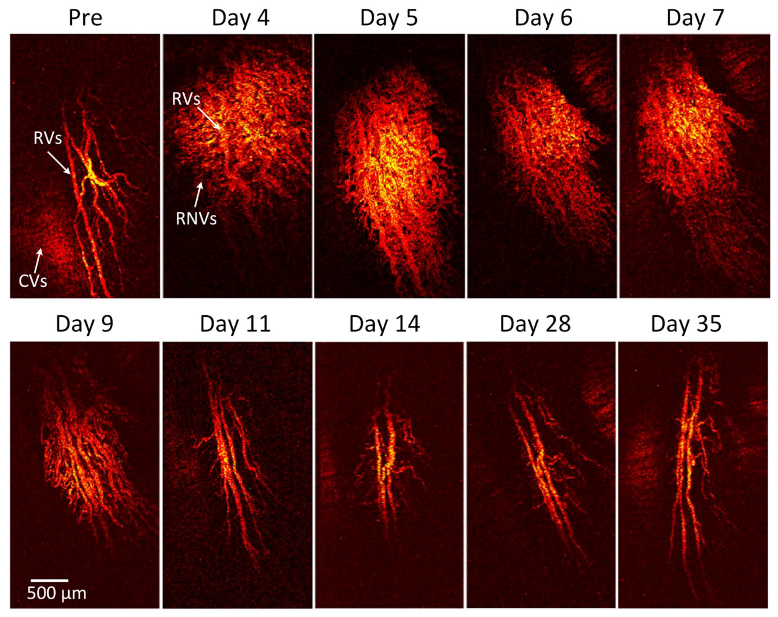 Jimaging 04 00150 g004