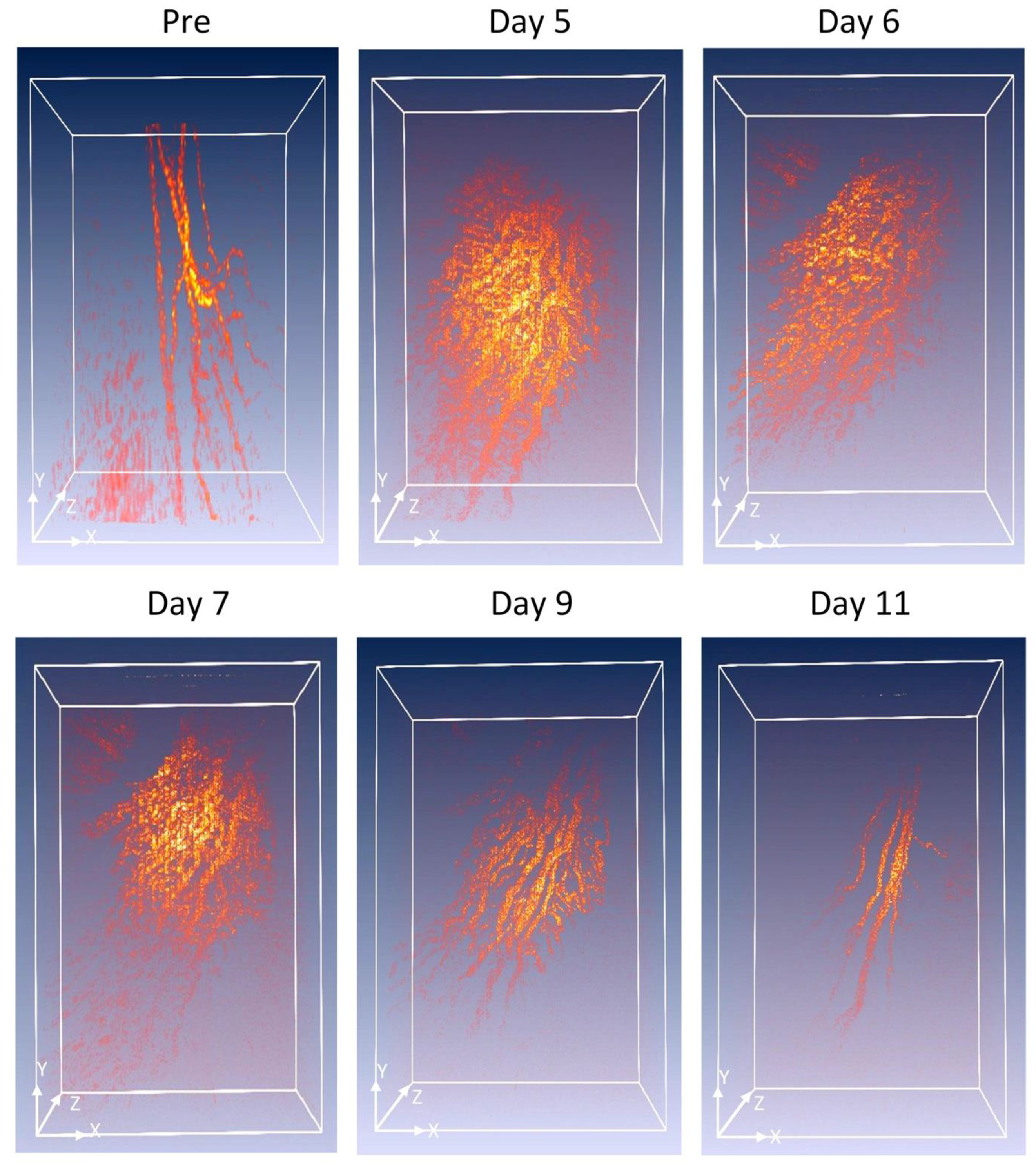 Jimaging 04 00150 g005