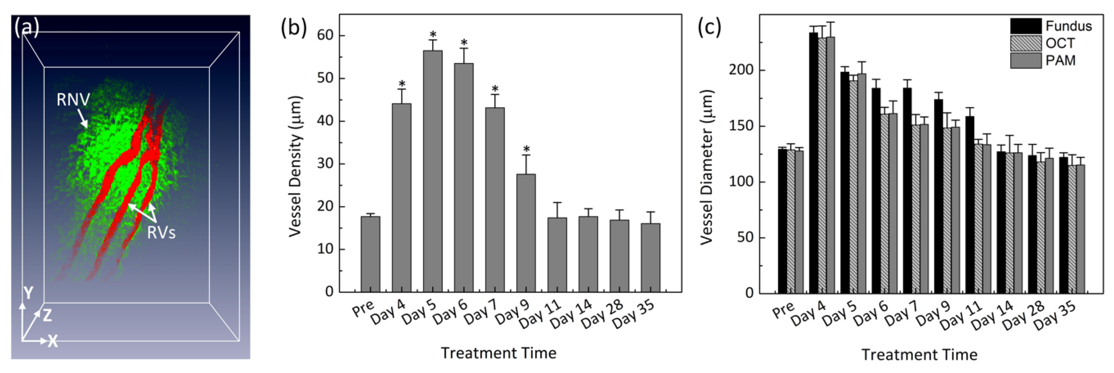 Jimaging 04 00150 g006