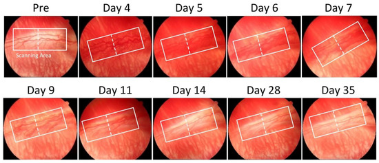 Jimaging 04 00150 g0a2