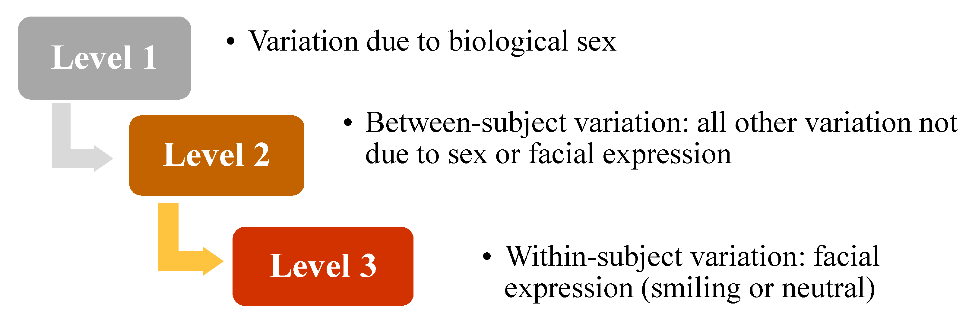 Jimaging 05 00002 g001