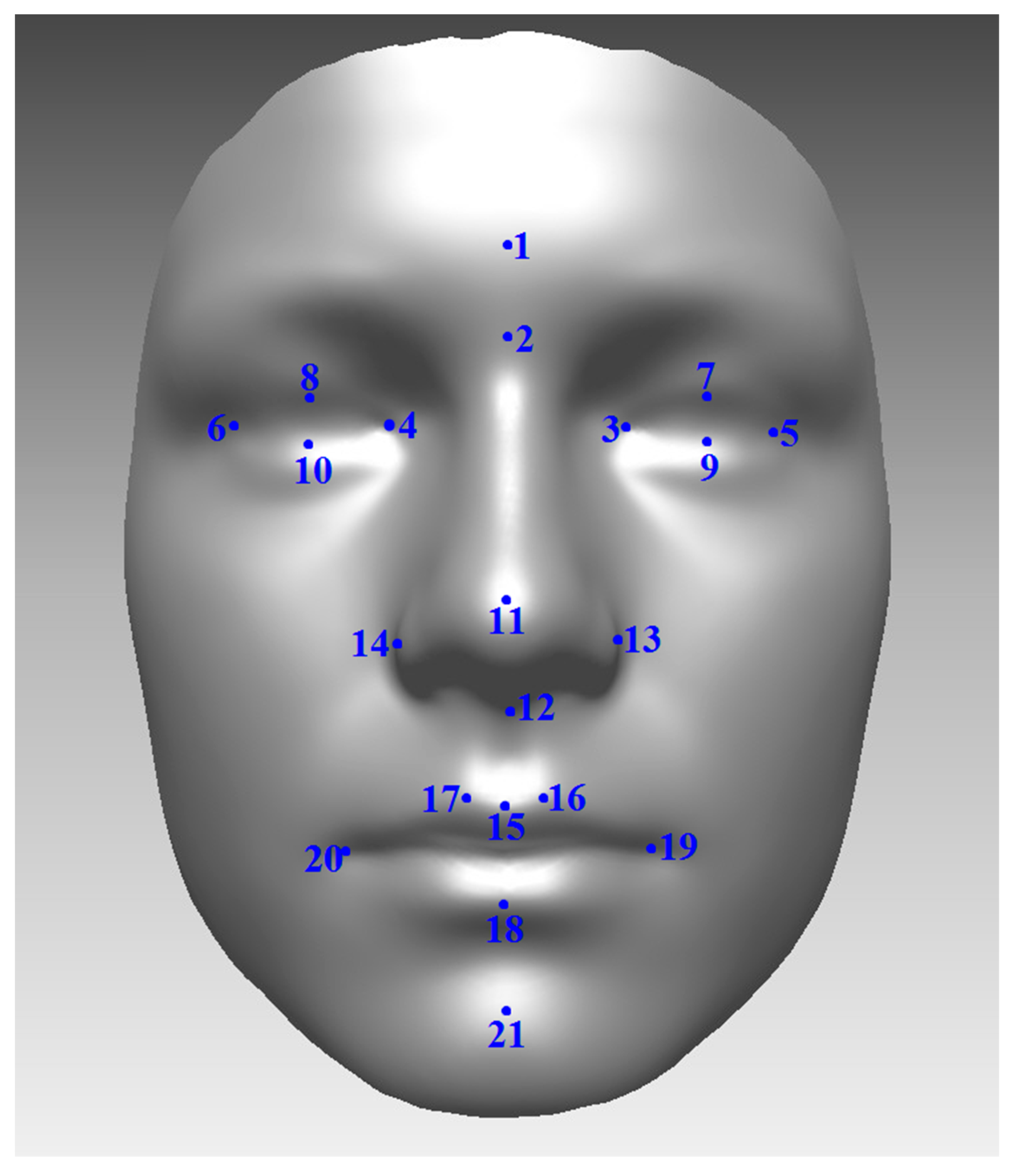 Jimaging 05 00002 g002