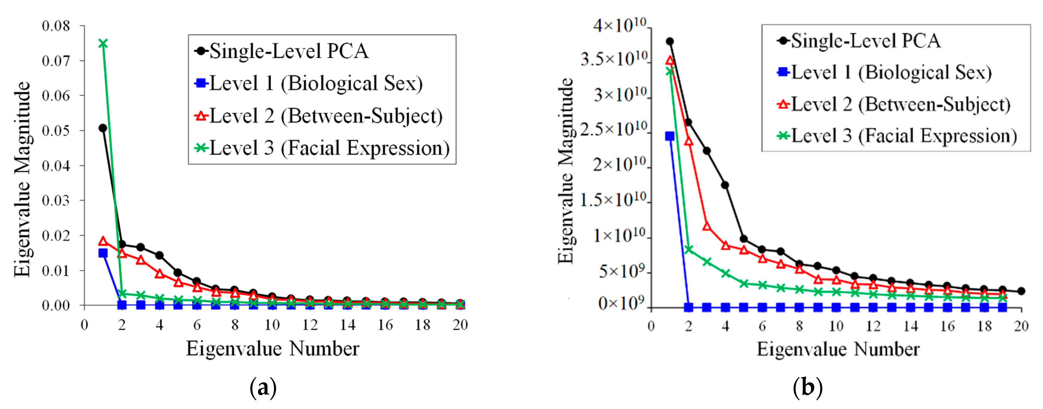 Jimaging 05 00002 g004