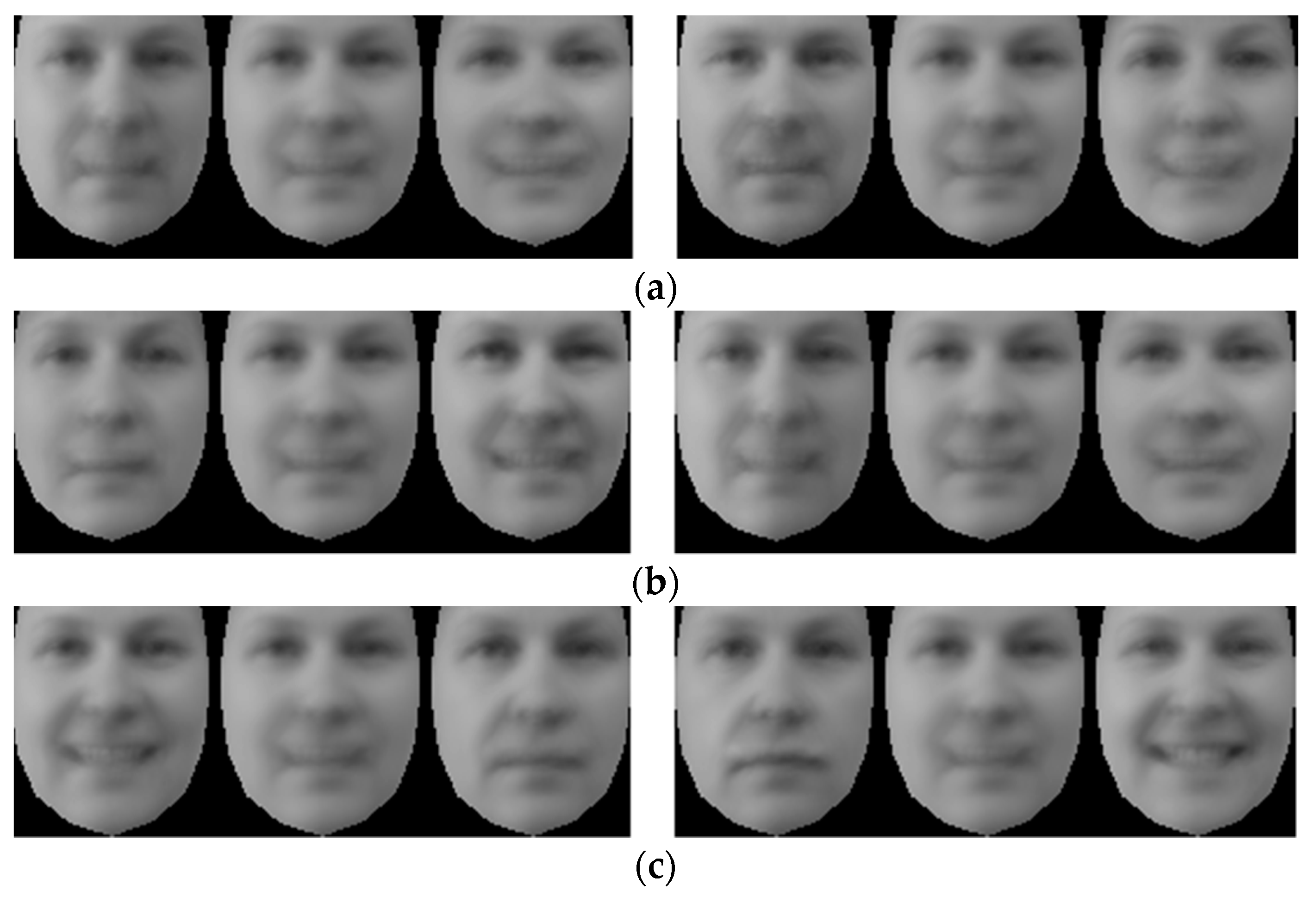 Jimaging 05 00002 g006