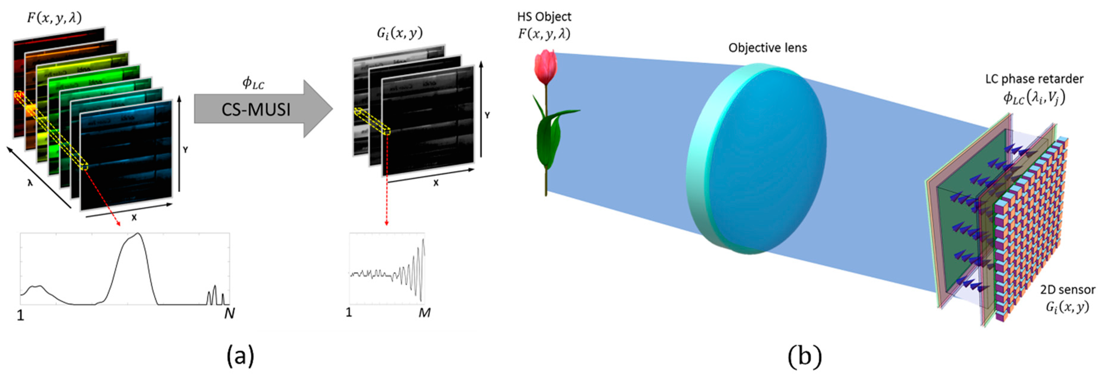 Jimaging 05 00003 g004