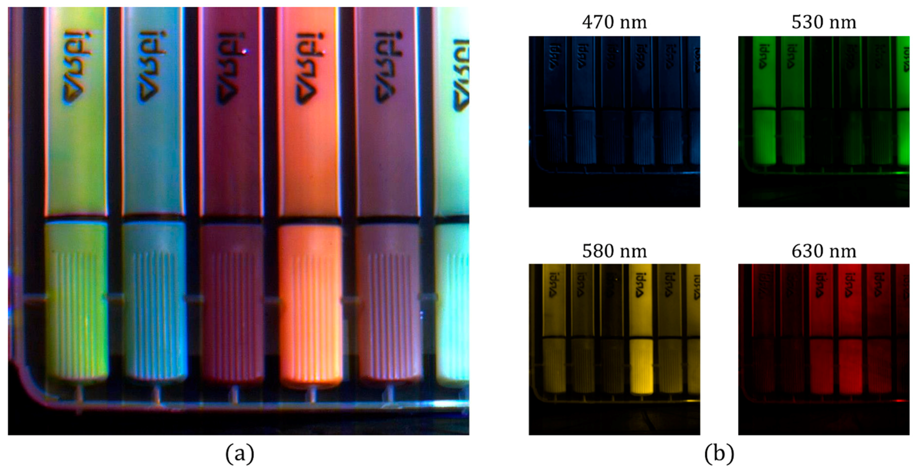 Jimaging 05 00003 g008