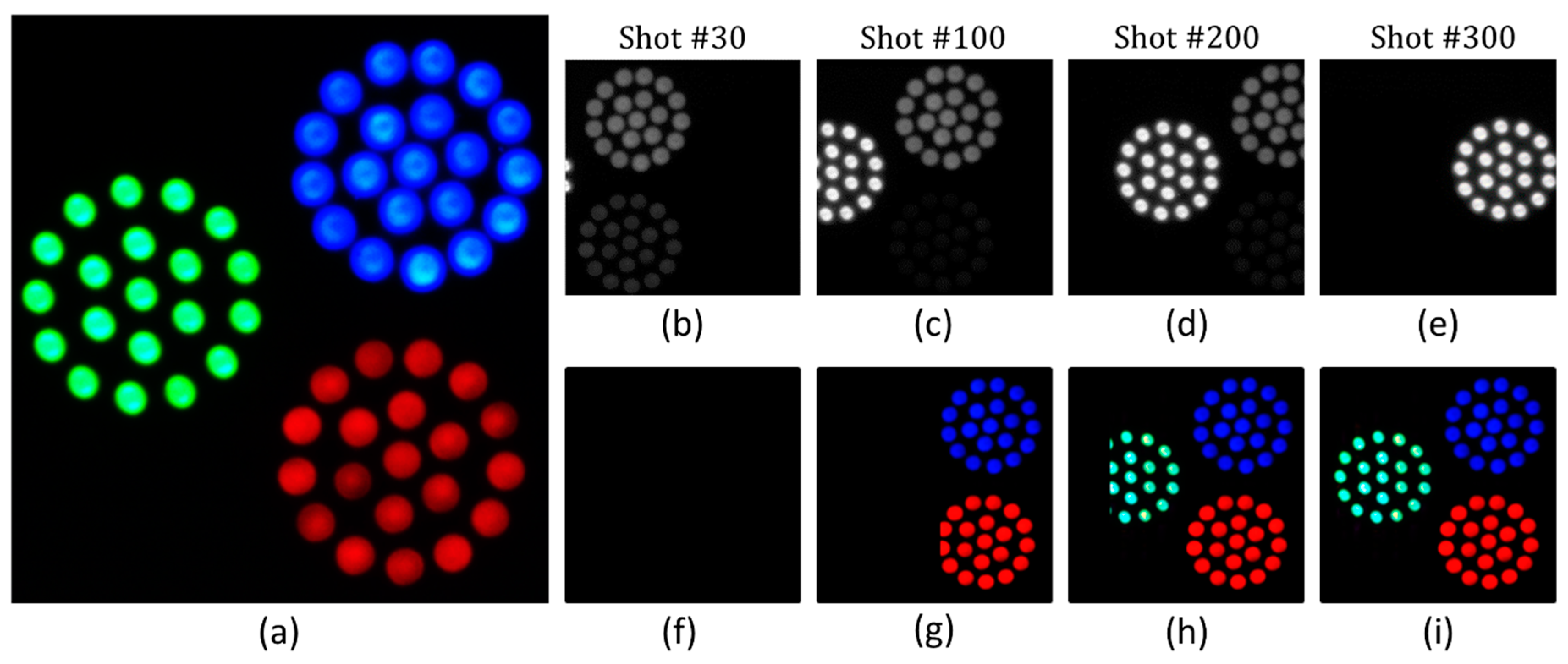 Jimaging 05 00003 g011