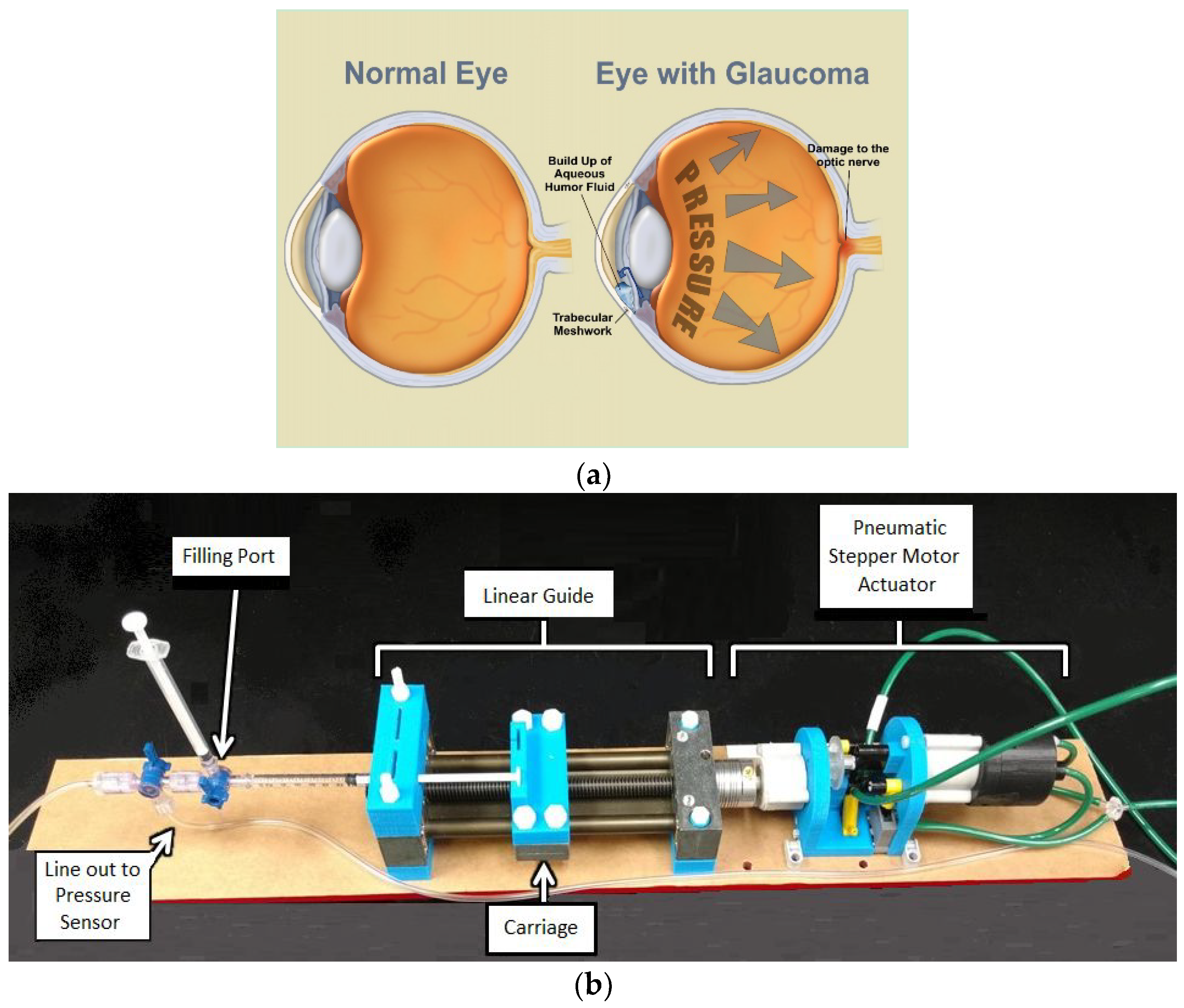 Jimaging 05 00004 g001