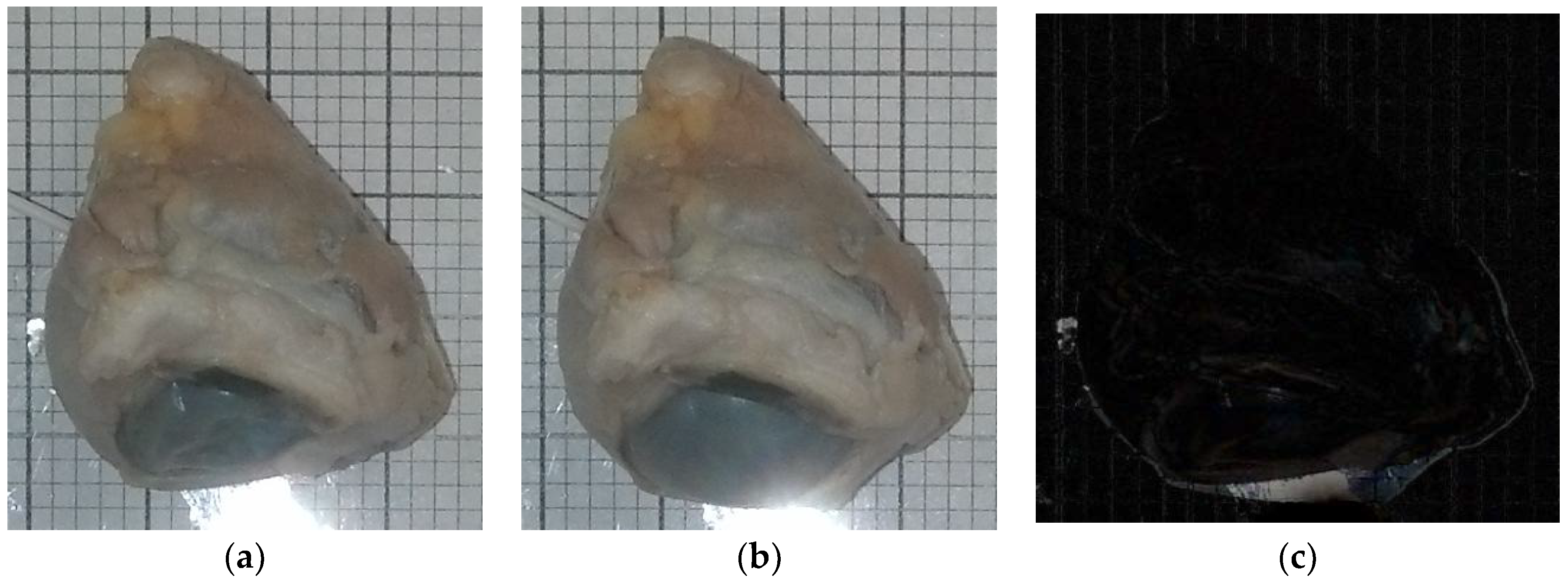 Jimaging 05 00004 g003