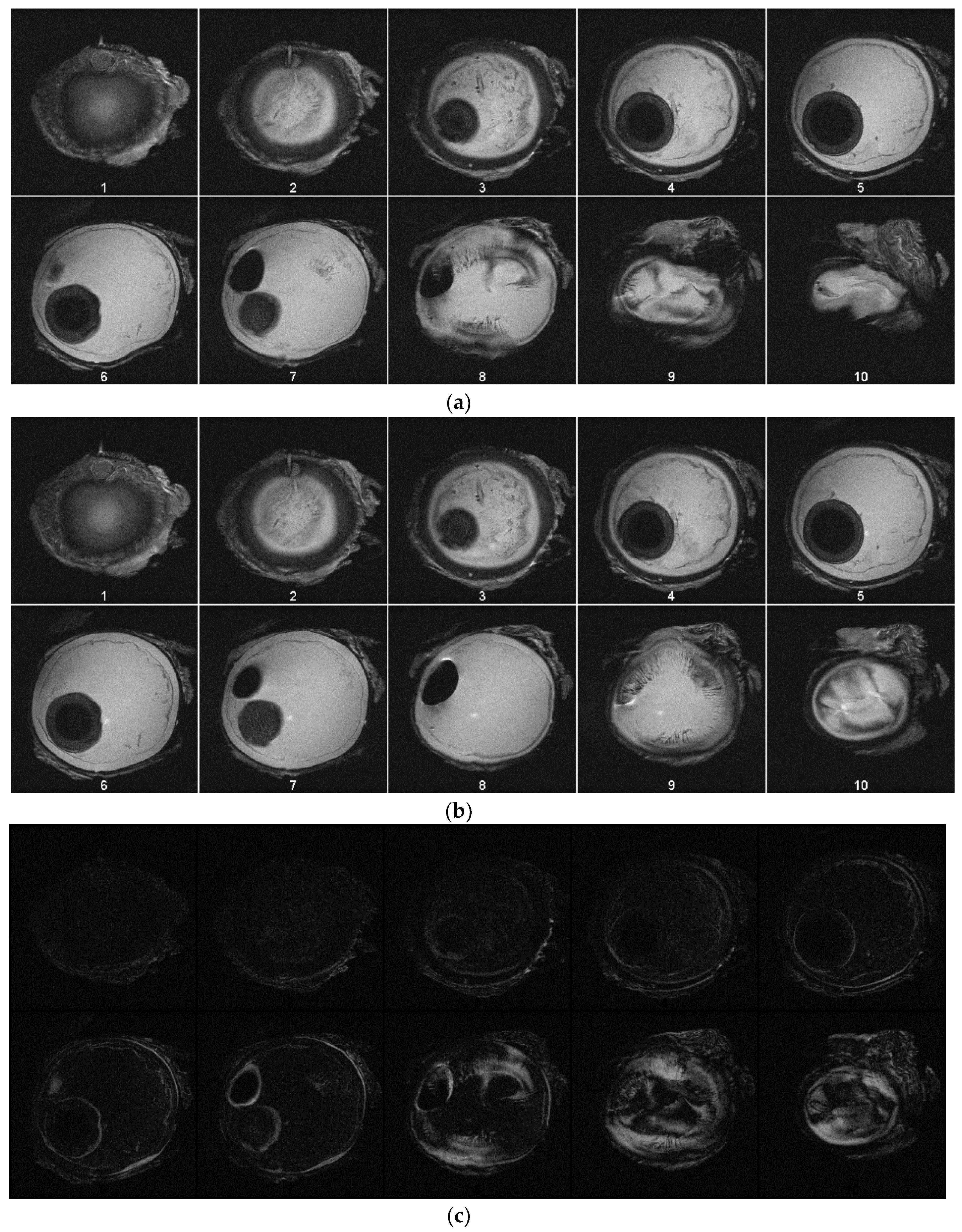 Jimaging 05 00004 g004