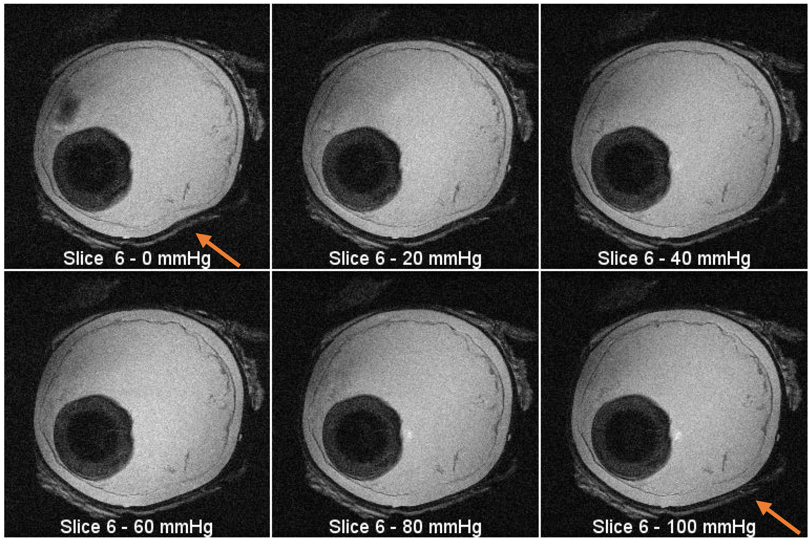 Jimaging 05 00004 g005