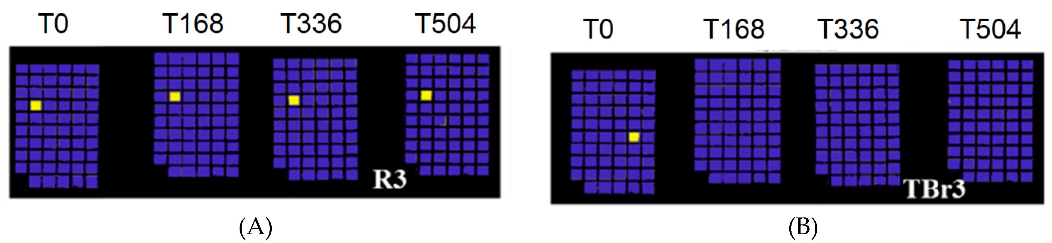 Jimaging 05 00008 g002