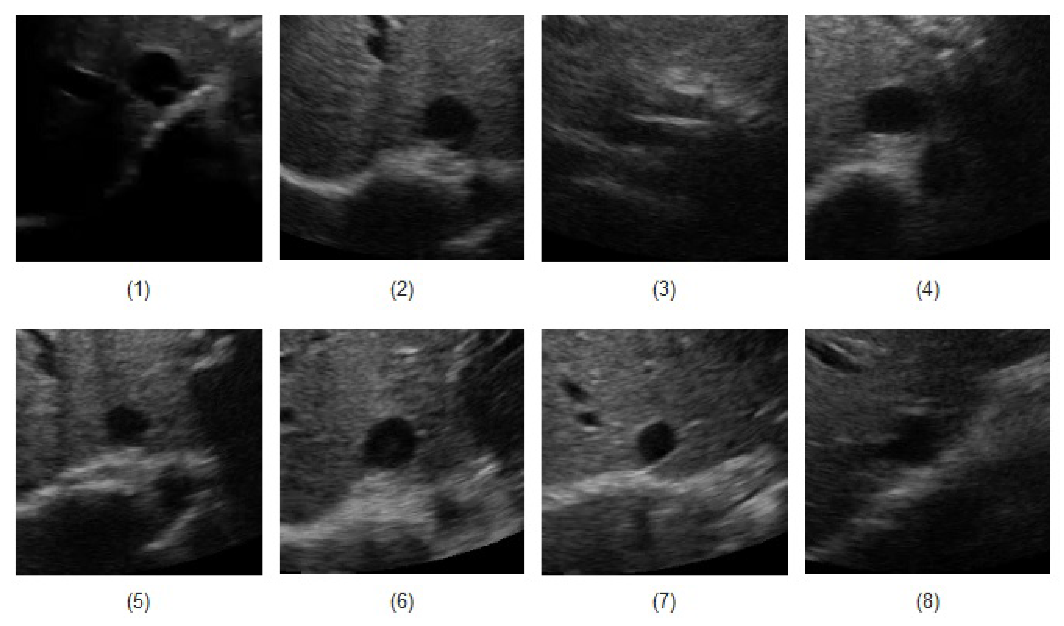 Jimaging 05 00012 g005