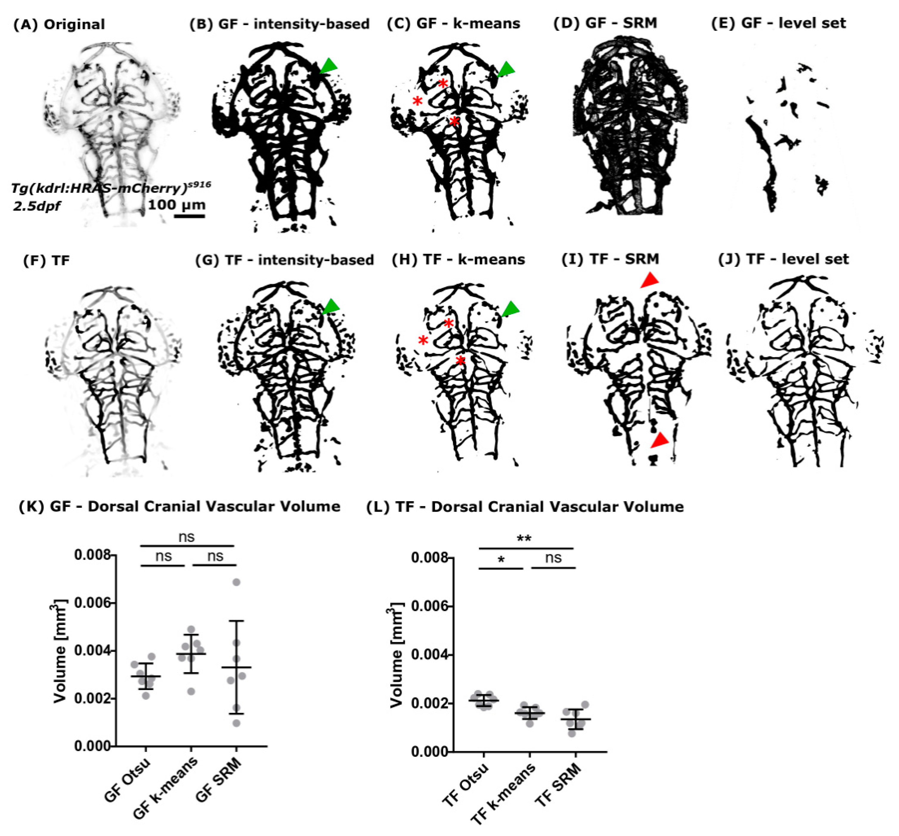 Jimaging 05 00014 g005