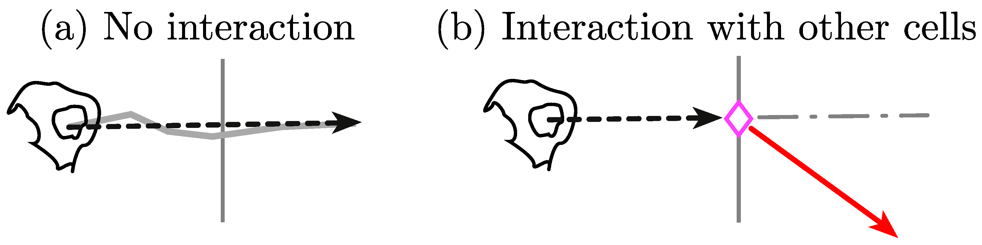 Jimaging 05 00017 g001