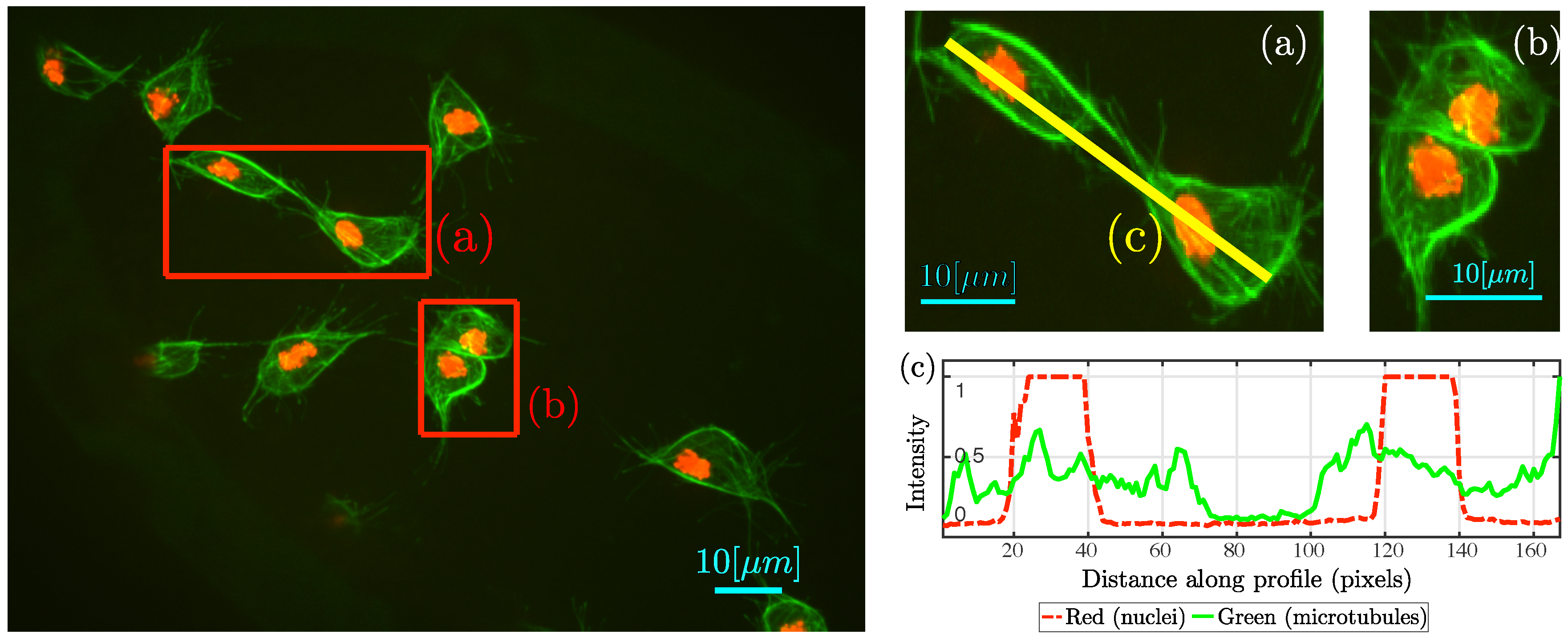 Jimaging 05 00017 g002