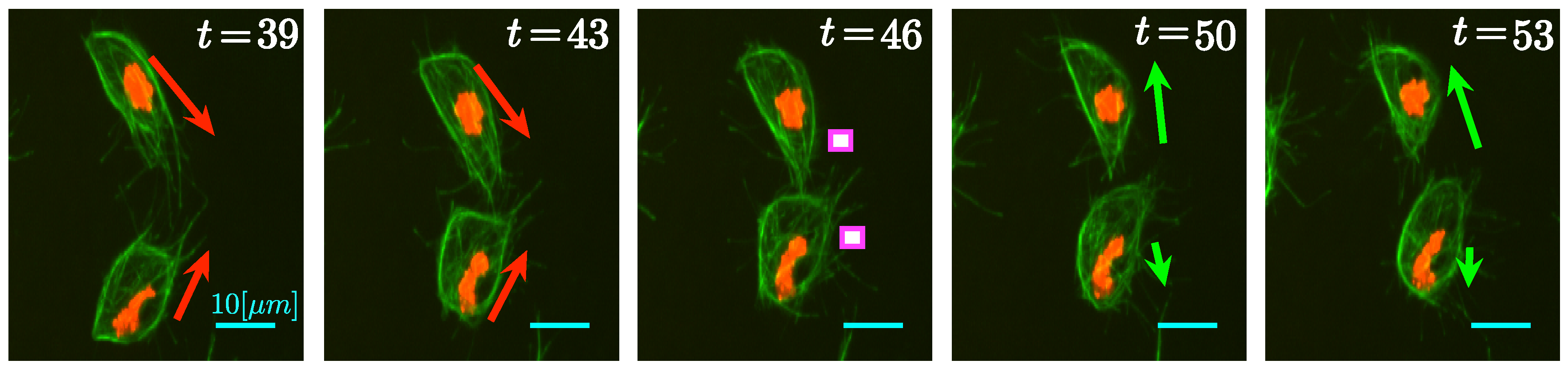 Jimaging 05 00017 g003