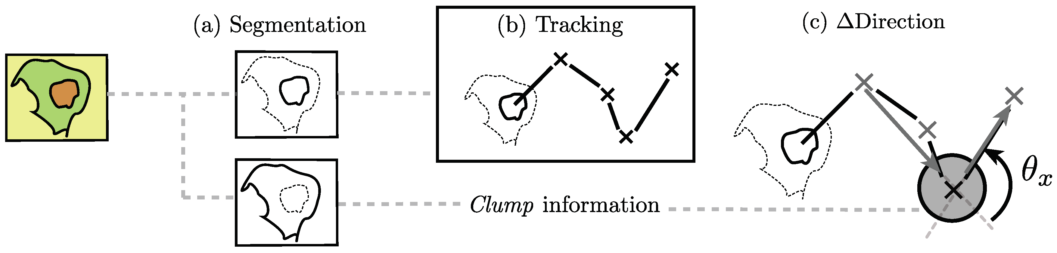 Jimaging 05 00017 g004