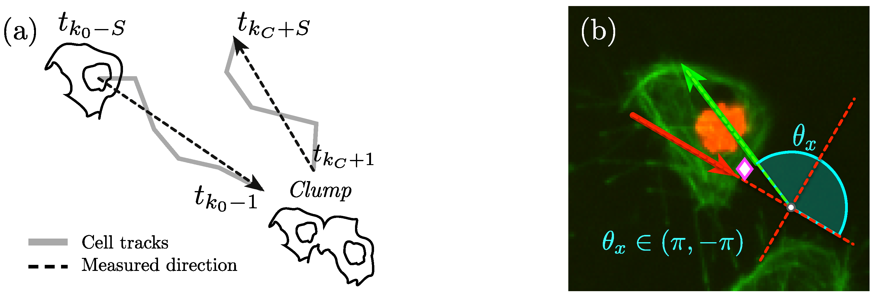 Jimaging 05 00017 g007