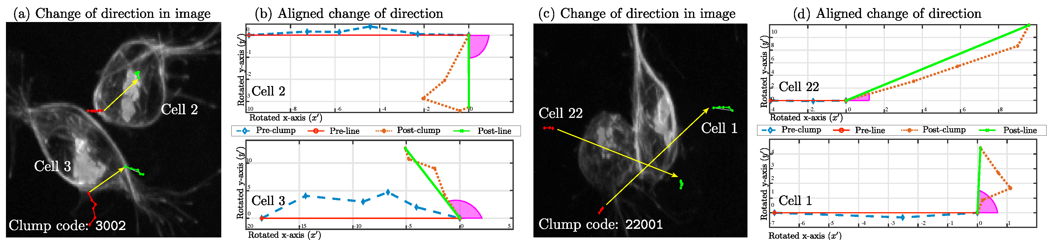Jimaging 05 00017 g010