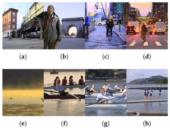 Jimaging 05 00018 g0a5