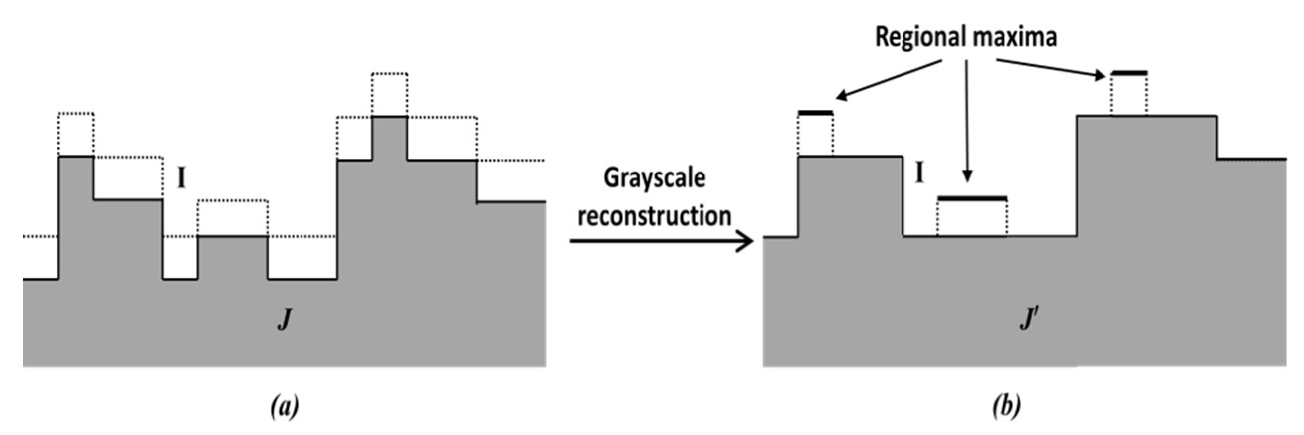 Jimaging 05 00021 g006