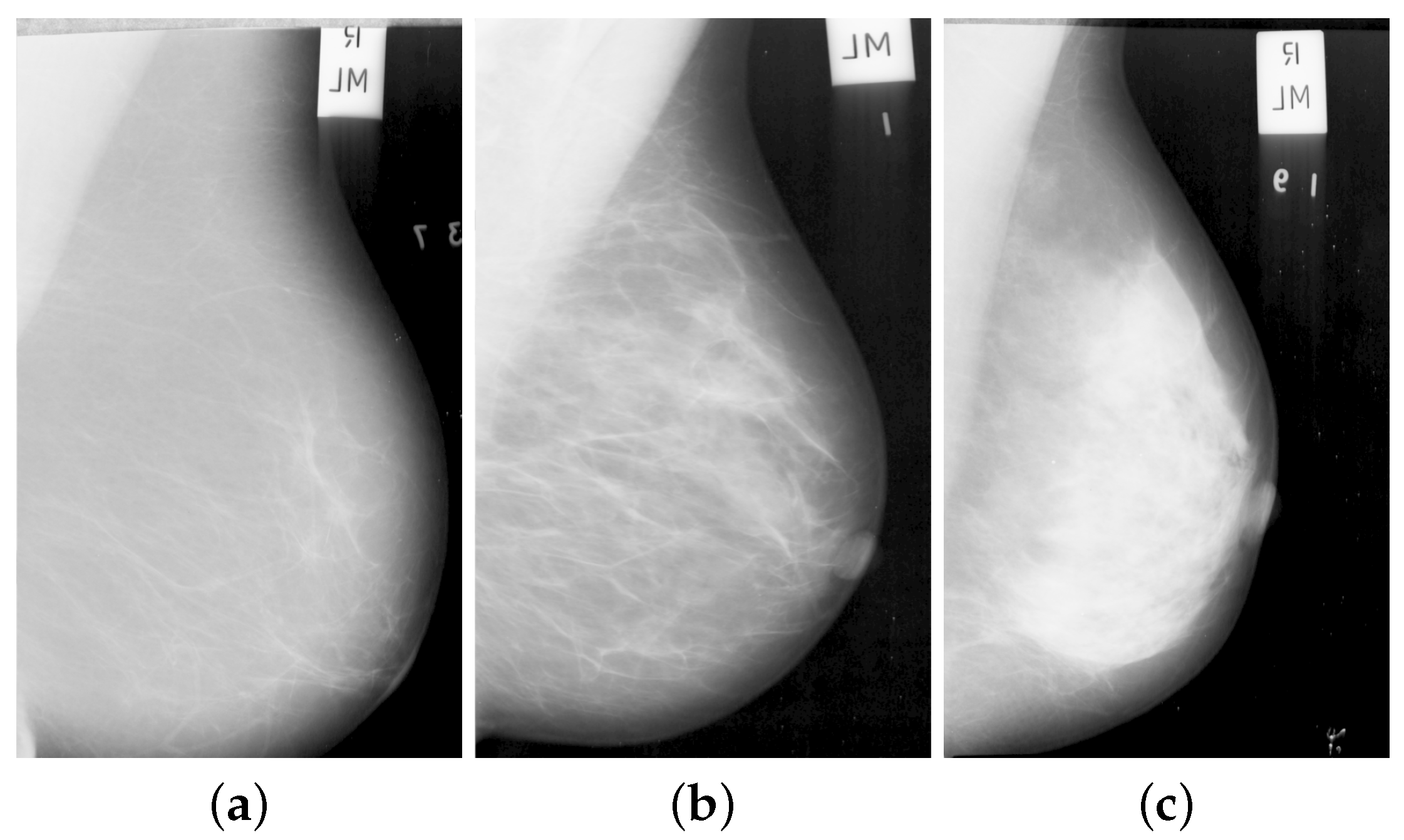 Jimaging 05 00024 g001