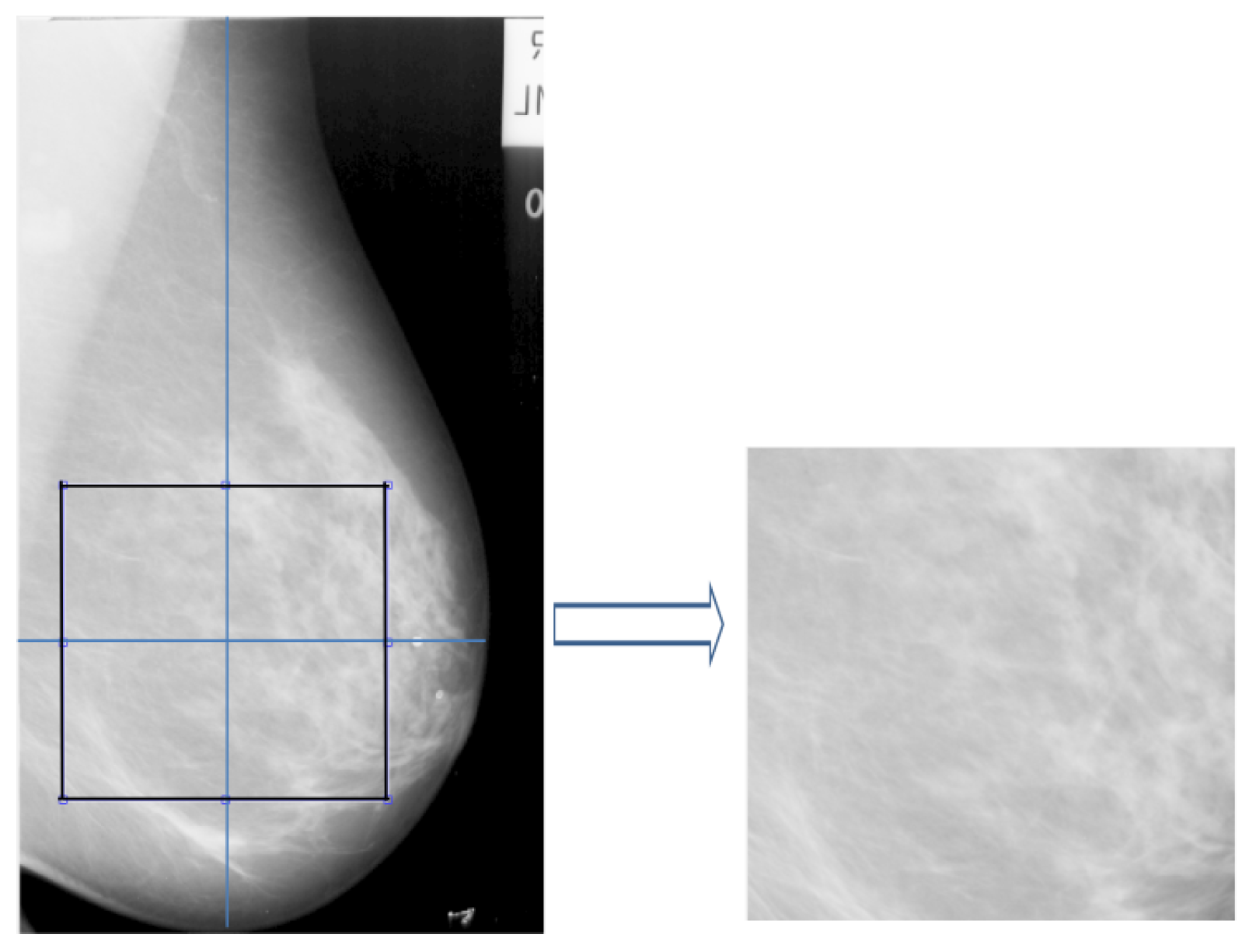 Jimaging 05 00024 g002
