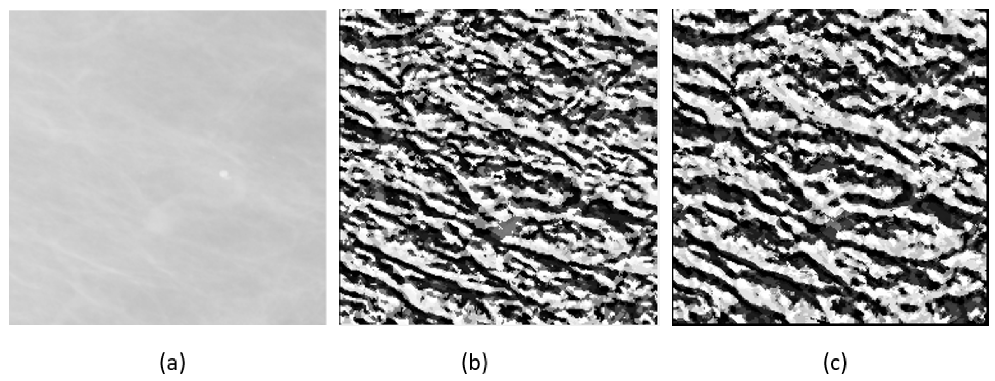 Jimaging 05 00024 g004