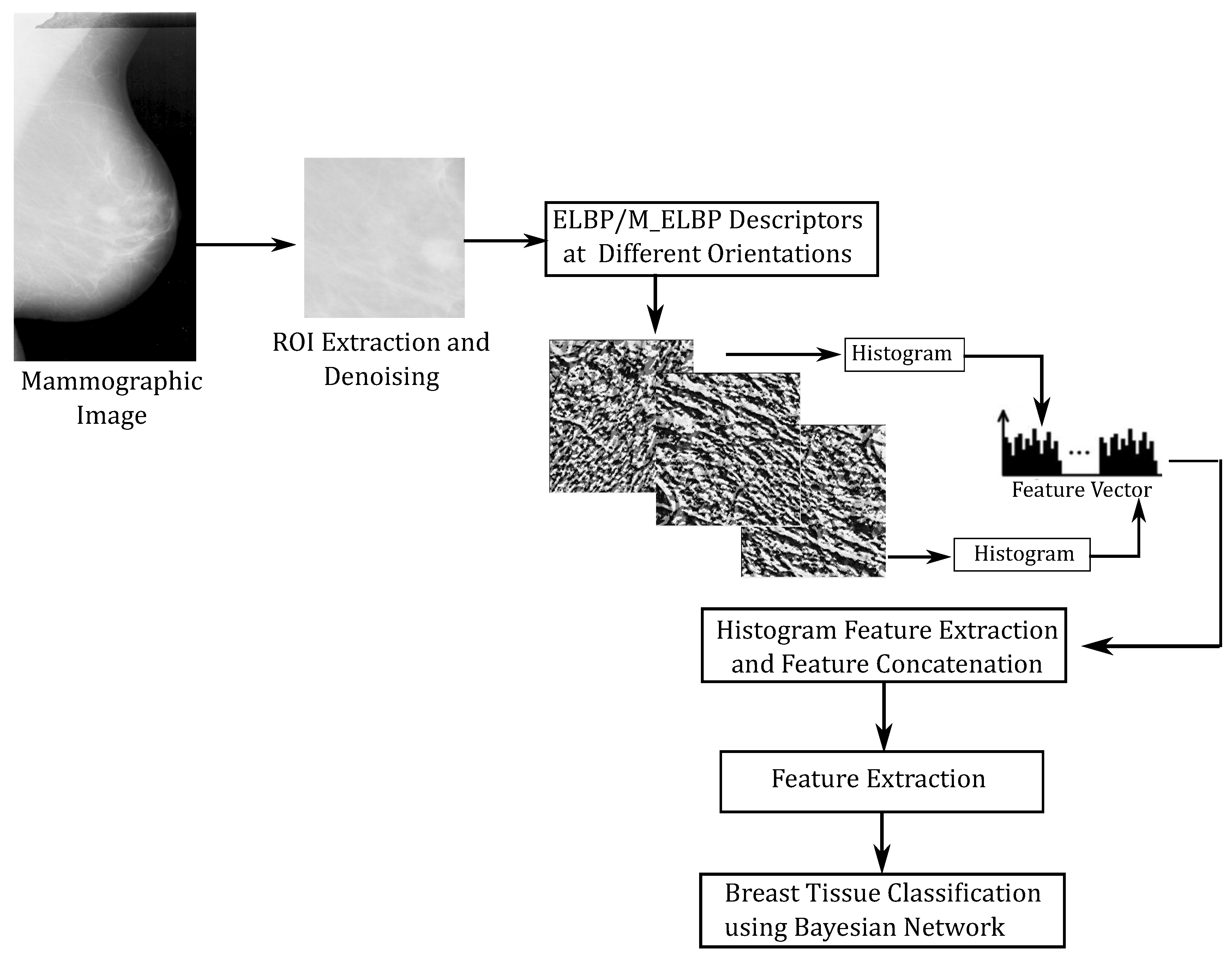 Jimaging 05 00024 g005