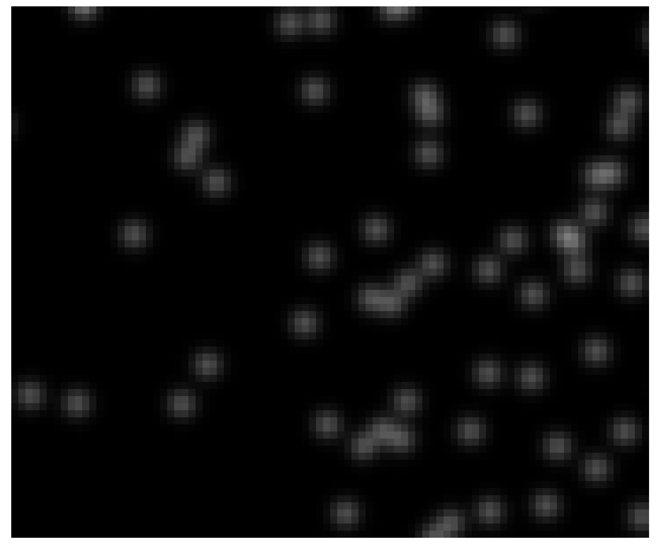 Jimaging 05 00028 g002