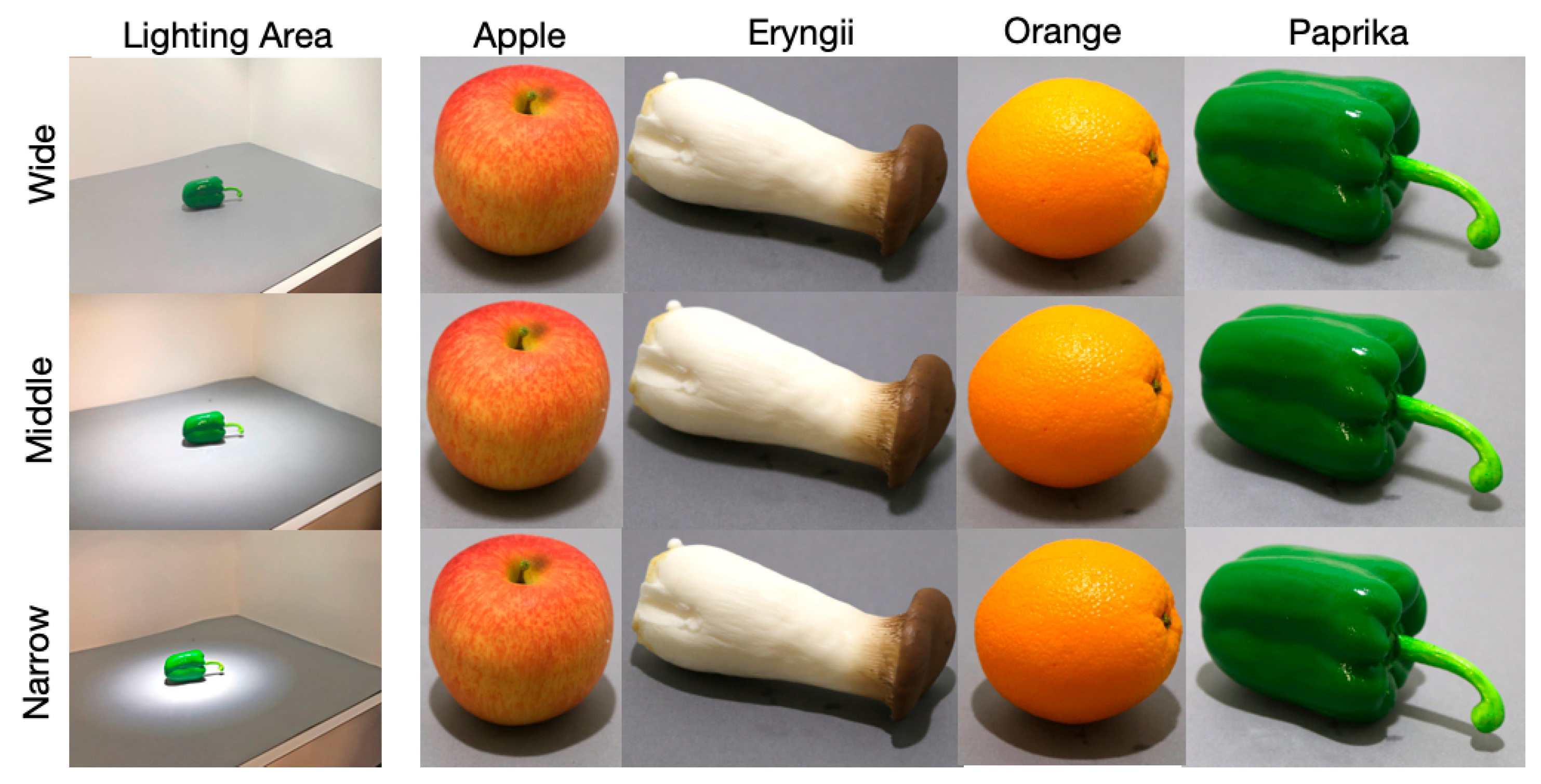 Jimaging 05 00031 g002