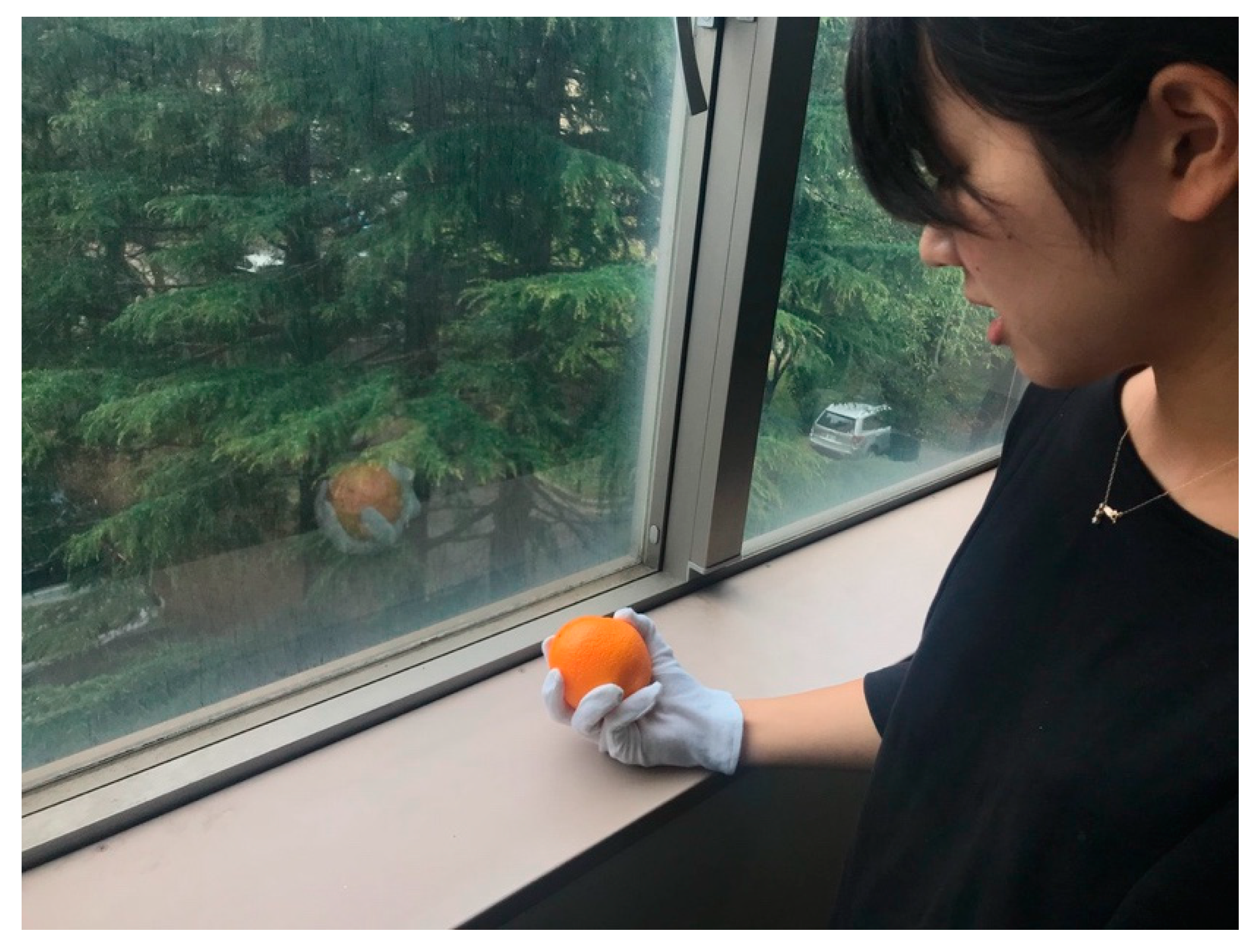 Jimaging 05 00031 g005