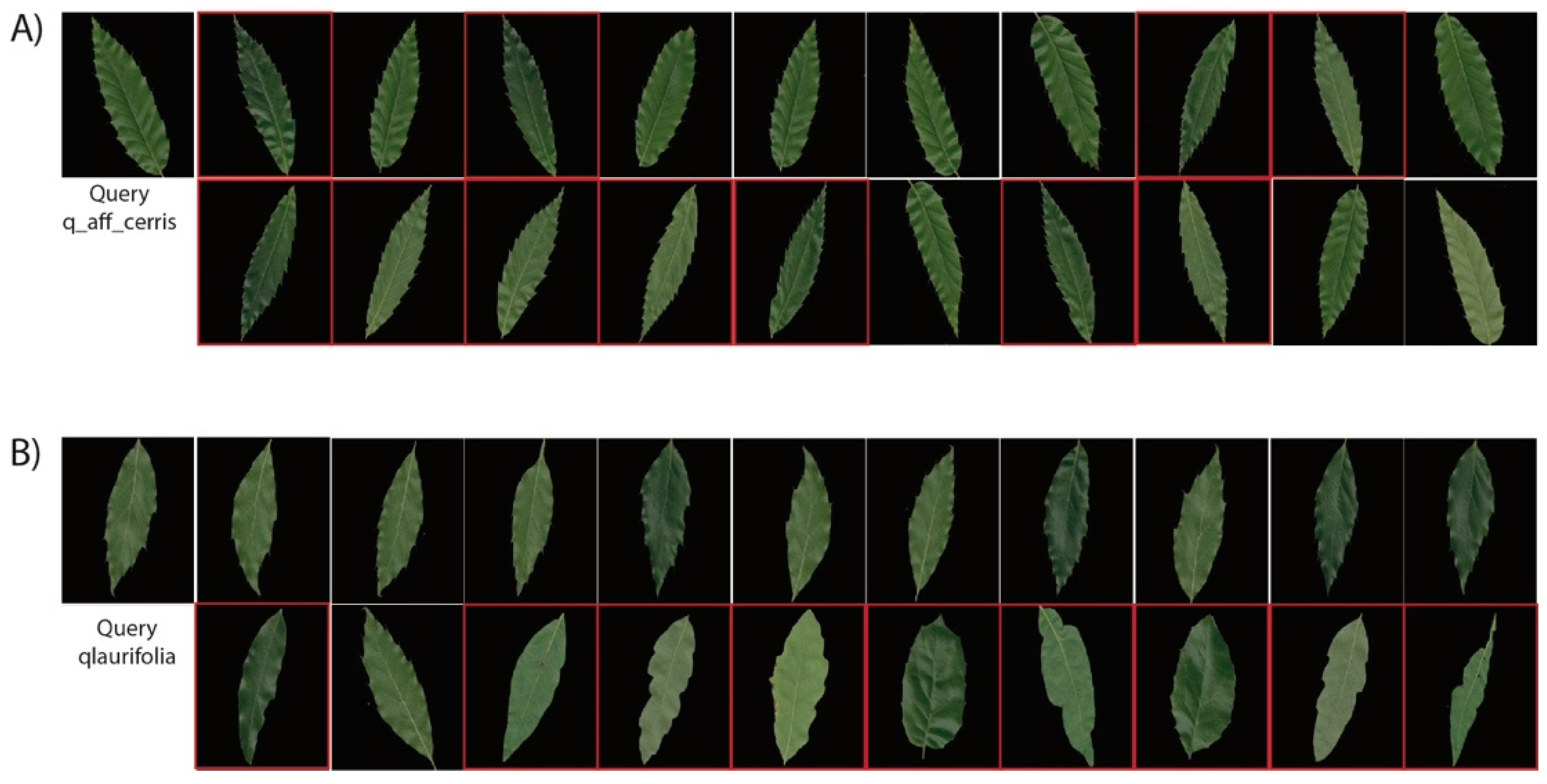 Jimaging 05 00033 g008